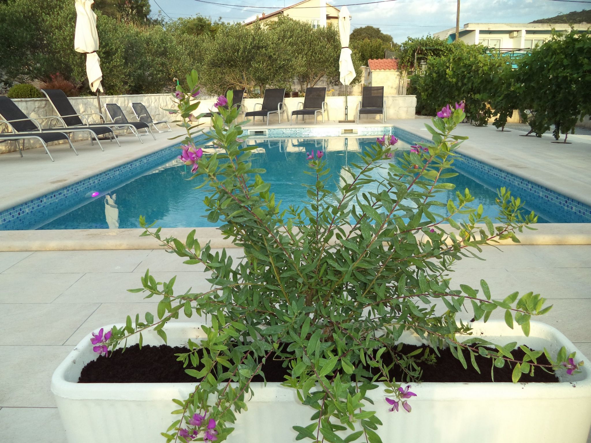 Apartments Bikić-Image-tags.info