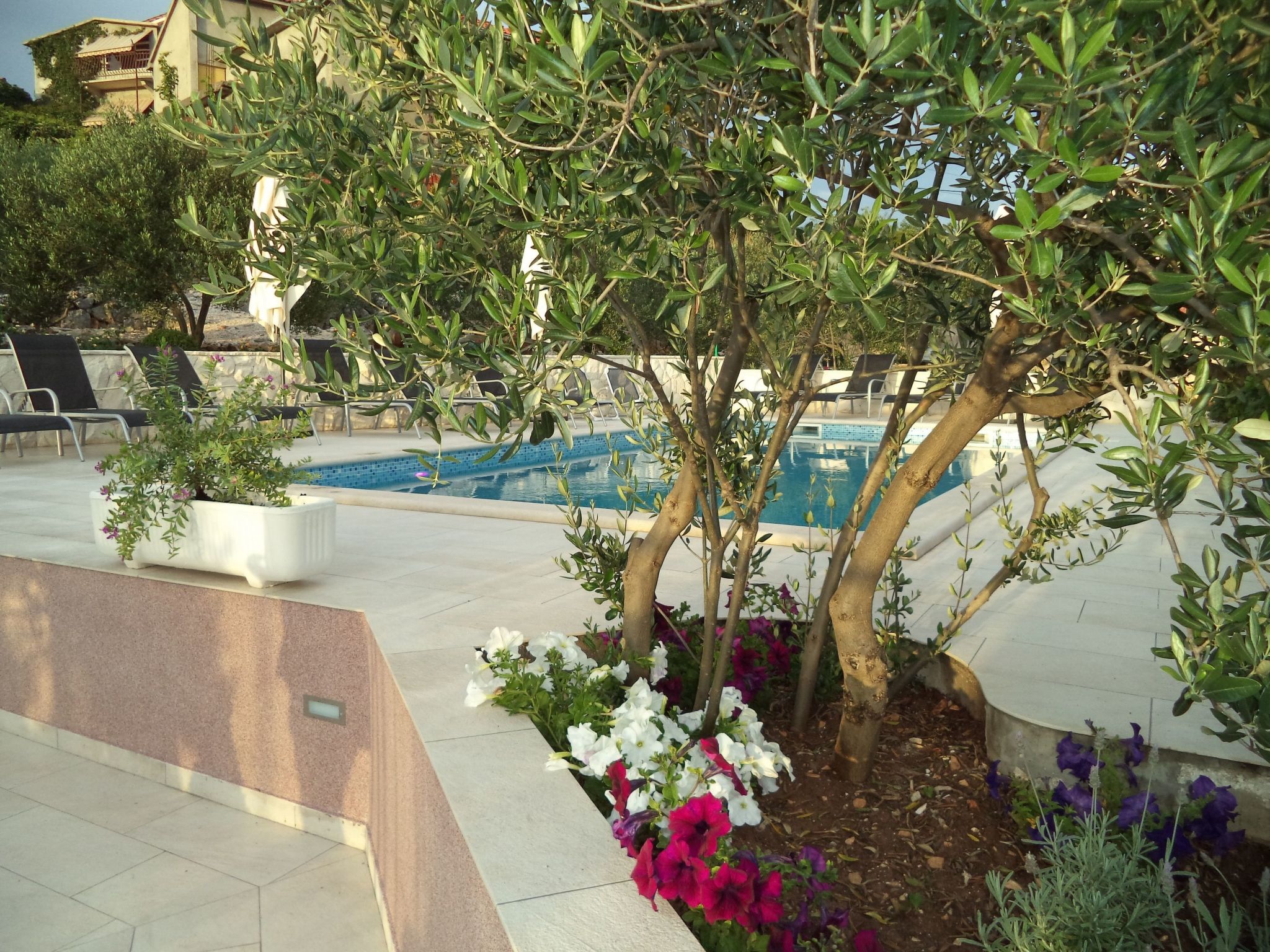 Apartments Bikić-Image-tags.info