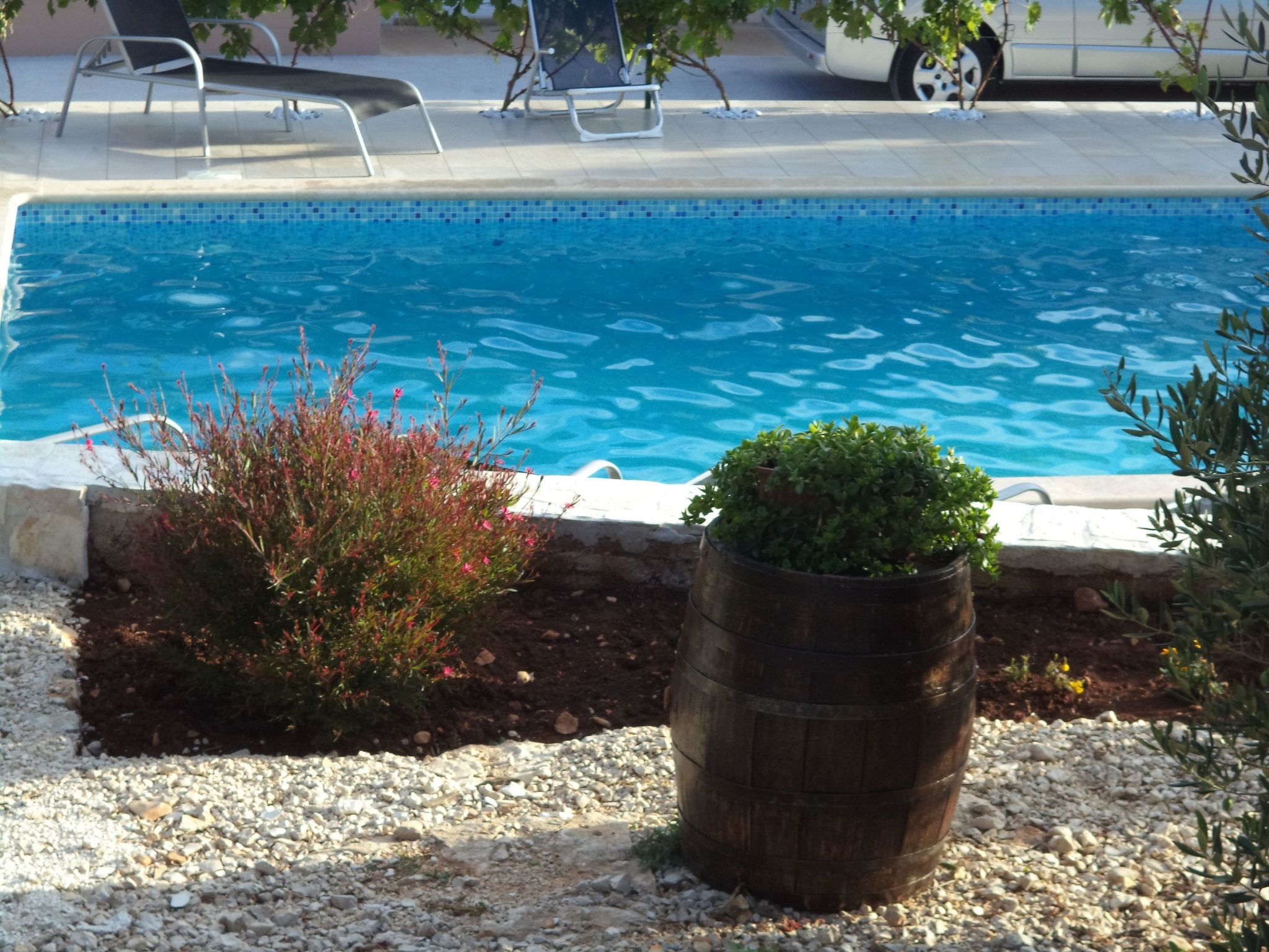 Apartments Bikić-Image-tags.info