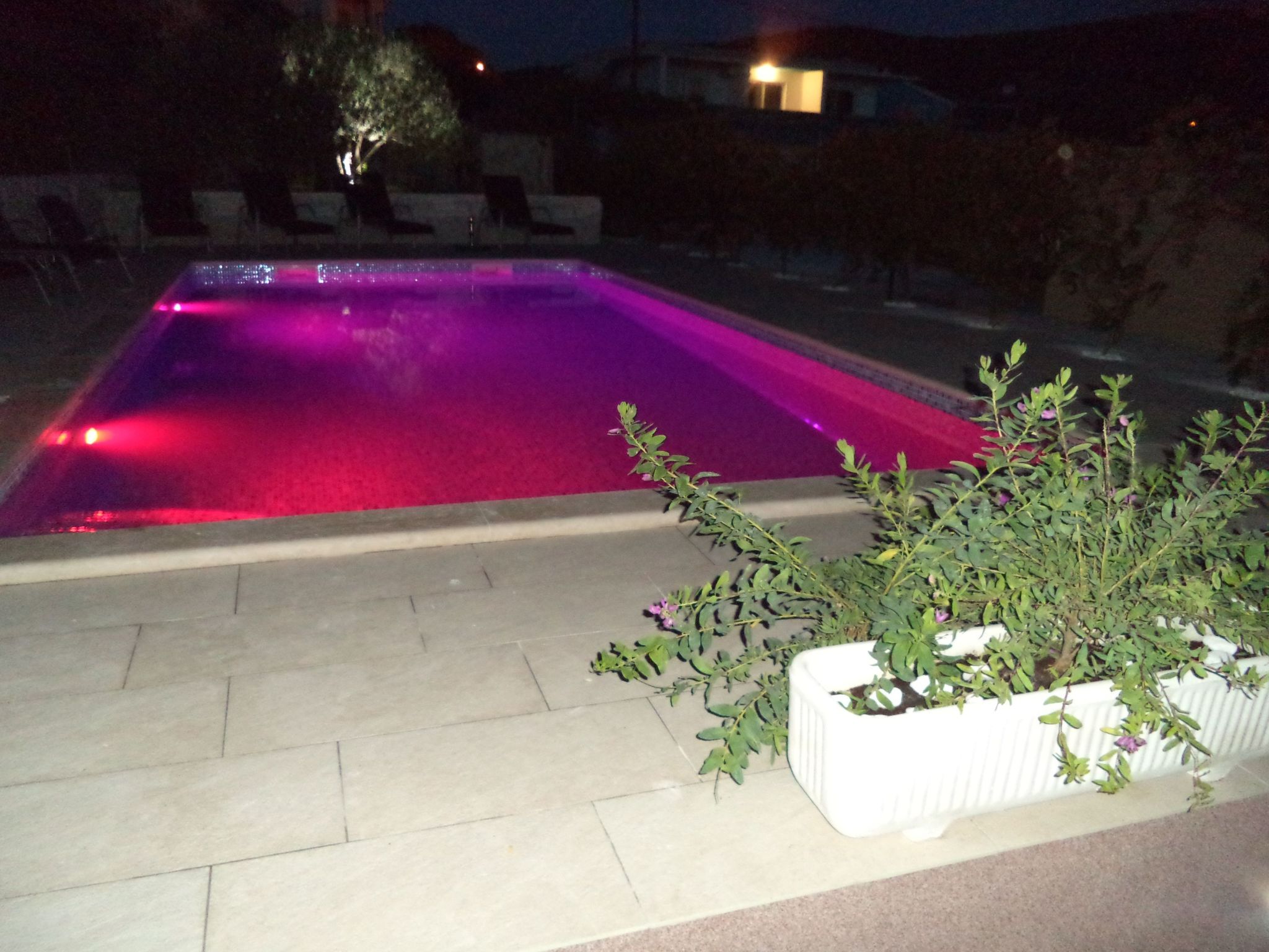 Apartments Bikić-Image-tags.info