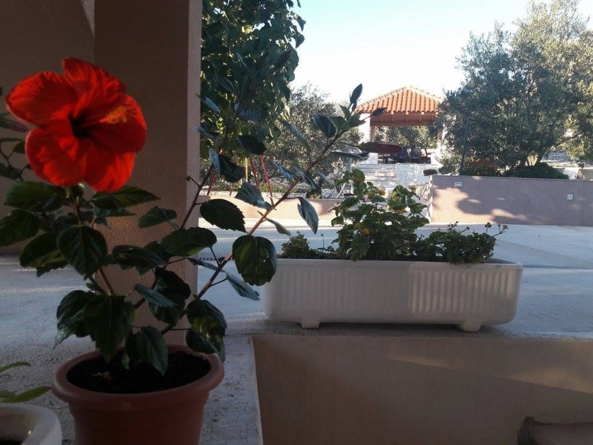 Apartments Bikić-Image-tags.info