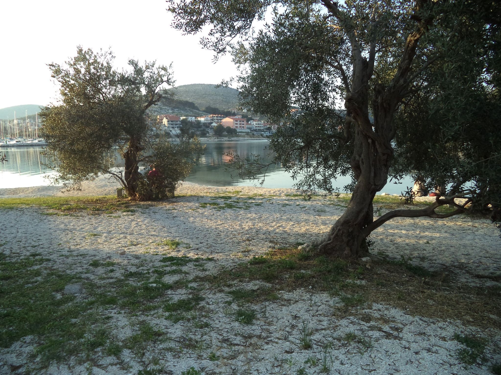 Apartments Bikić-Image-tags.info