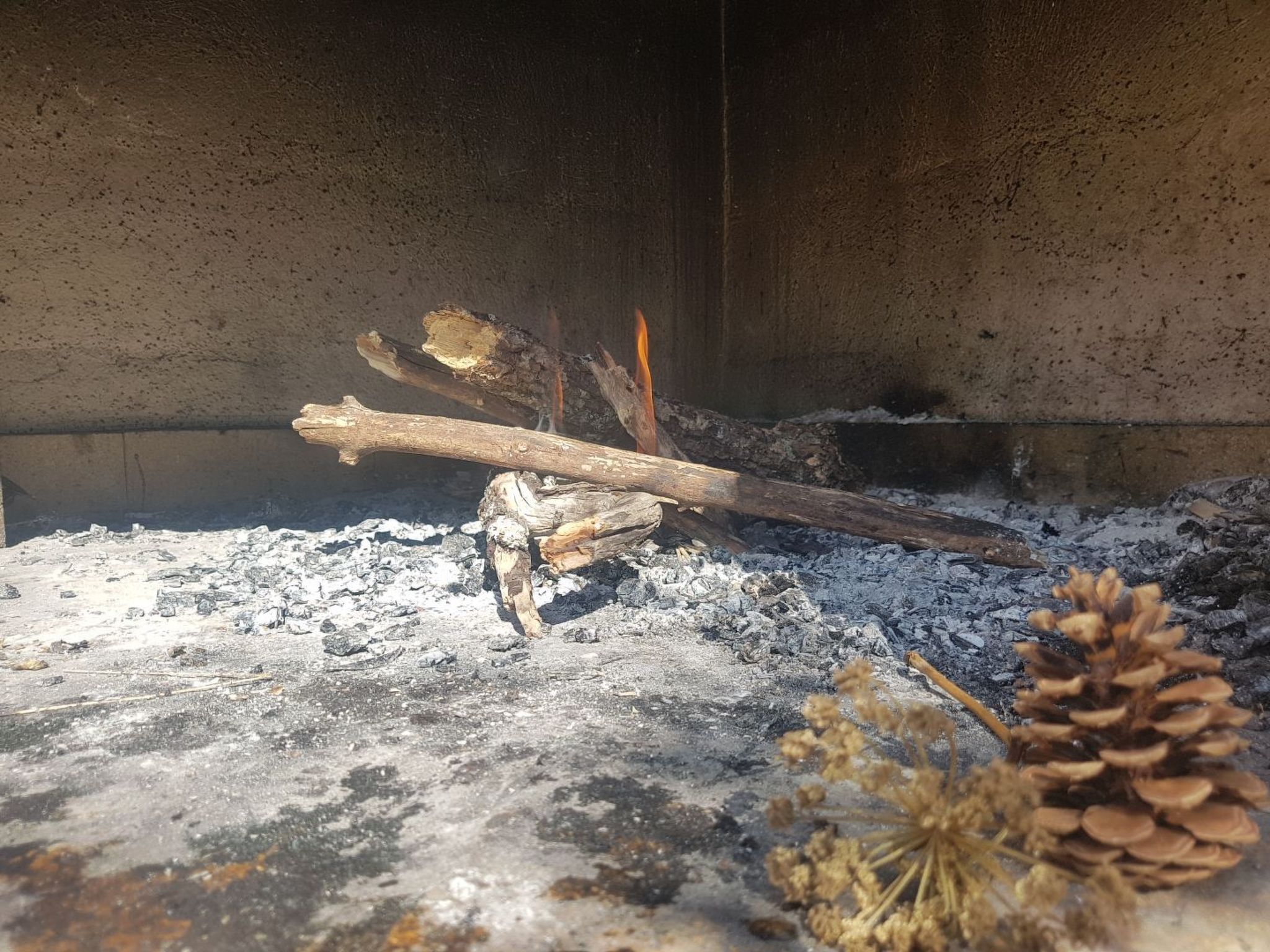 Mit Blick auf das Wasser-Binnen