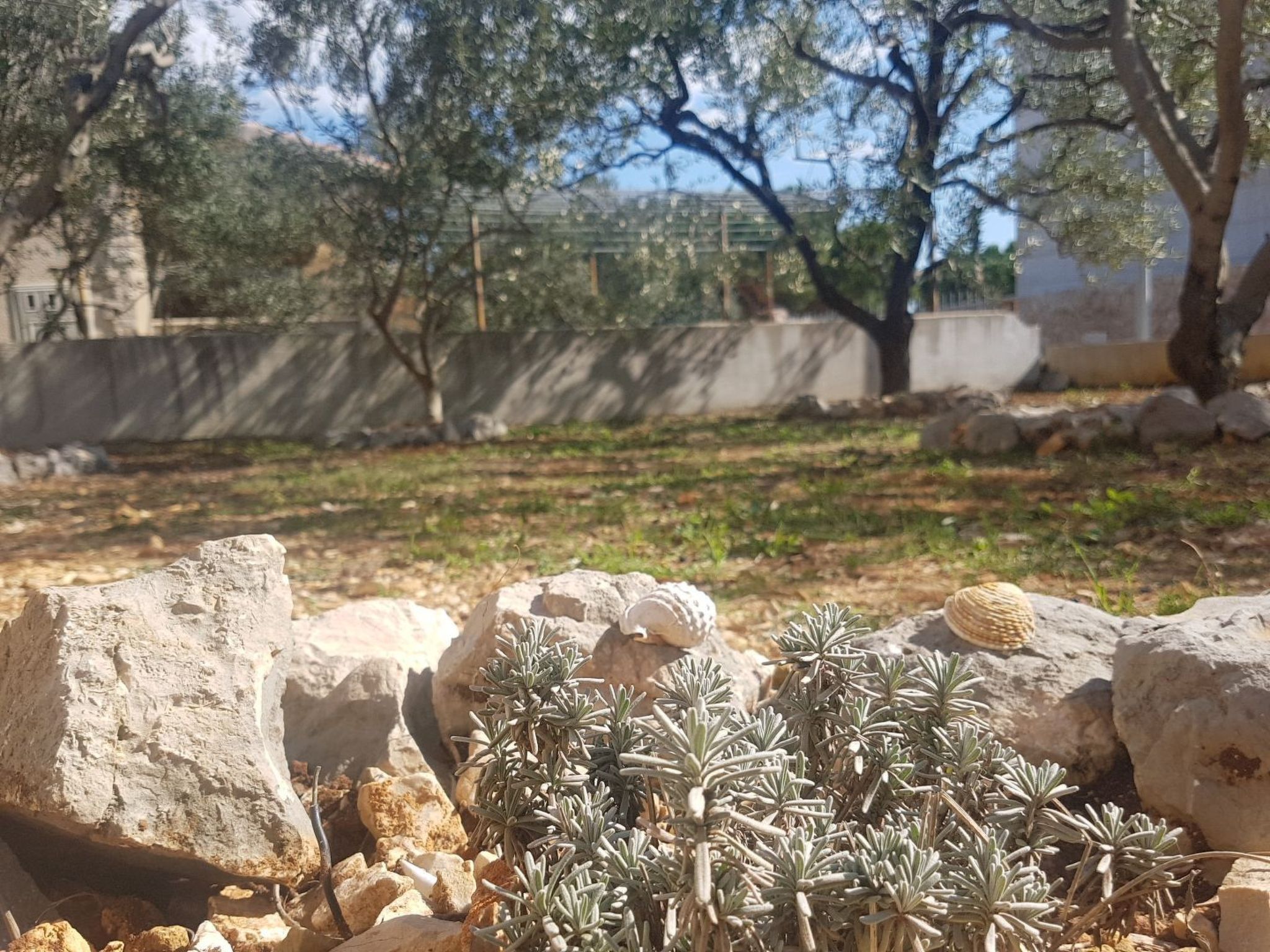 Mit Blick auf das Wasser-Binnen