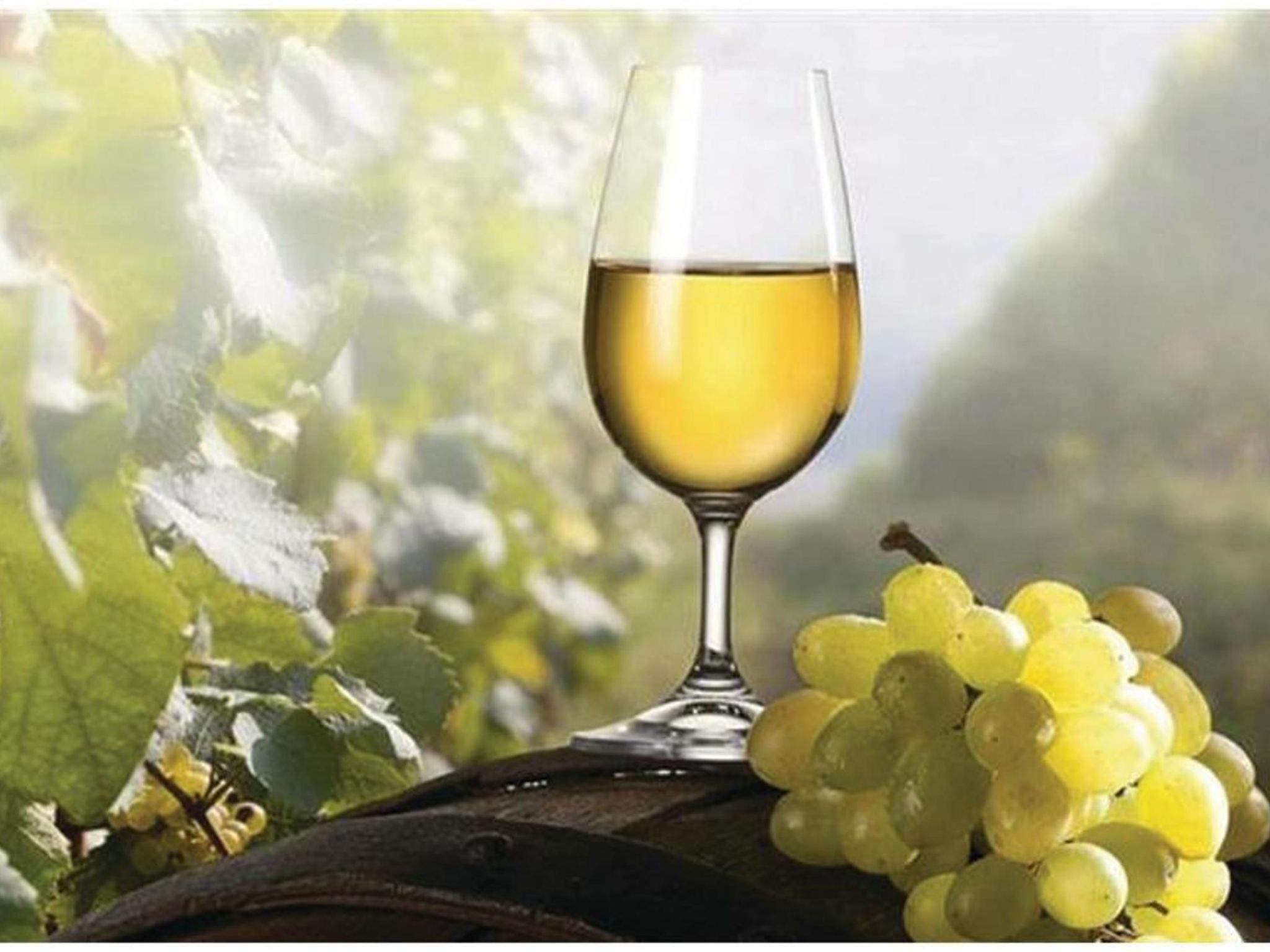 Villa Stella mit Pool & Jaccuzzi-Dedans