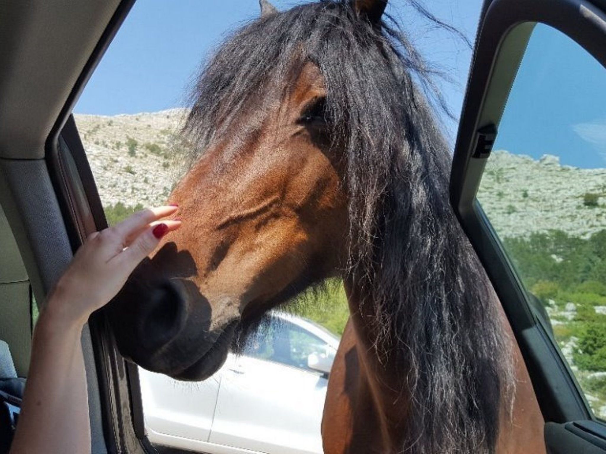 Villa Stella mit Pool & Jaccuzzi-Dedans