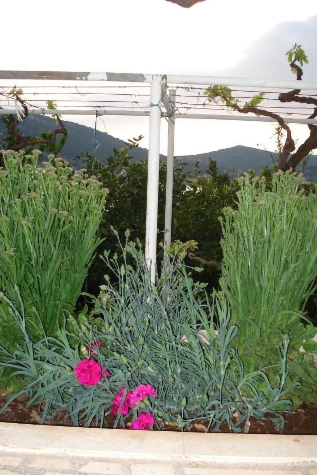 "Romantische Wohnung mit Meerblick"-Image-tags.info