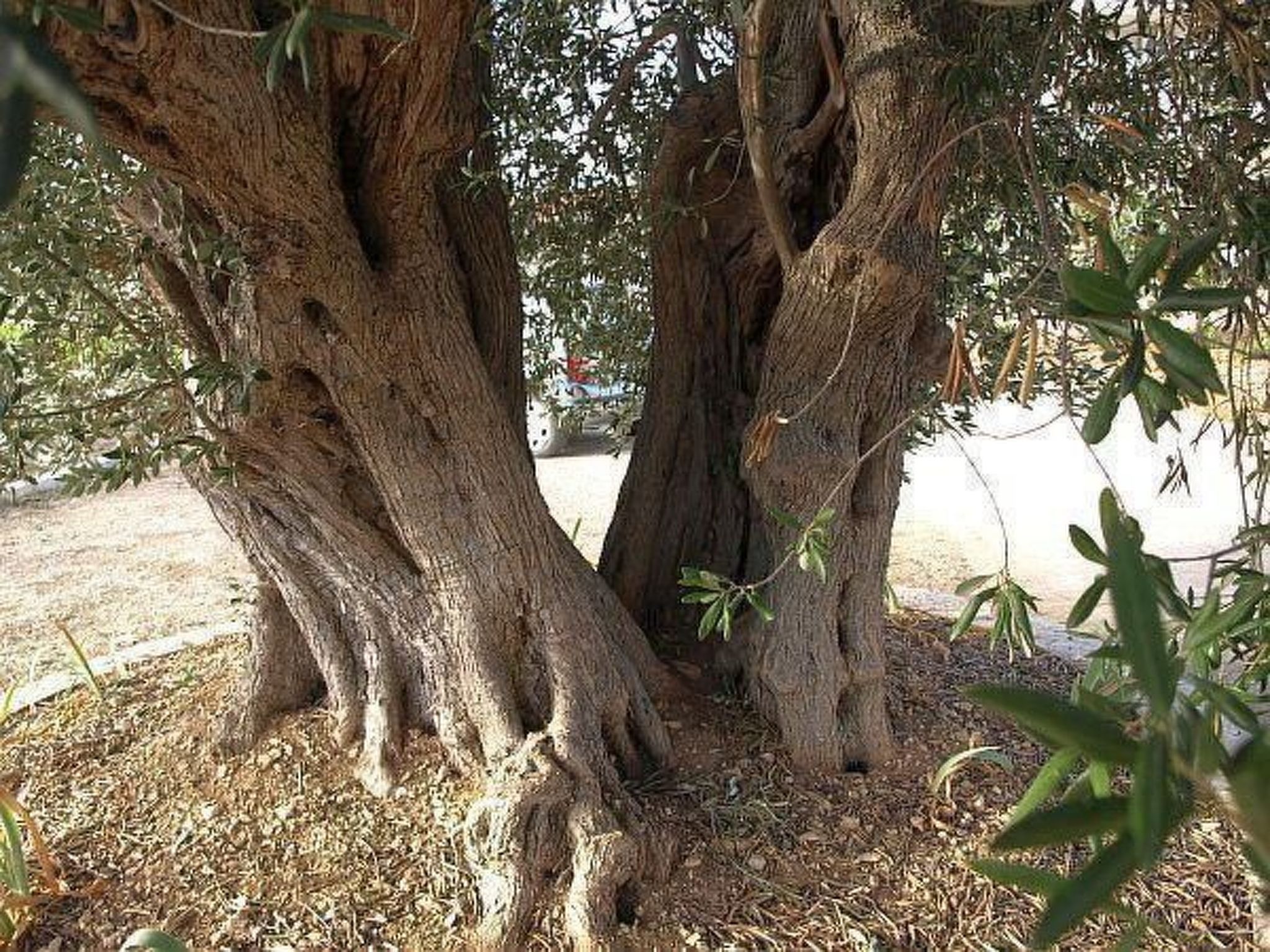 "Romantische Wohnung mit Meerblick"-Image-tags.info