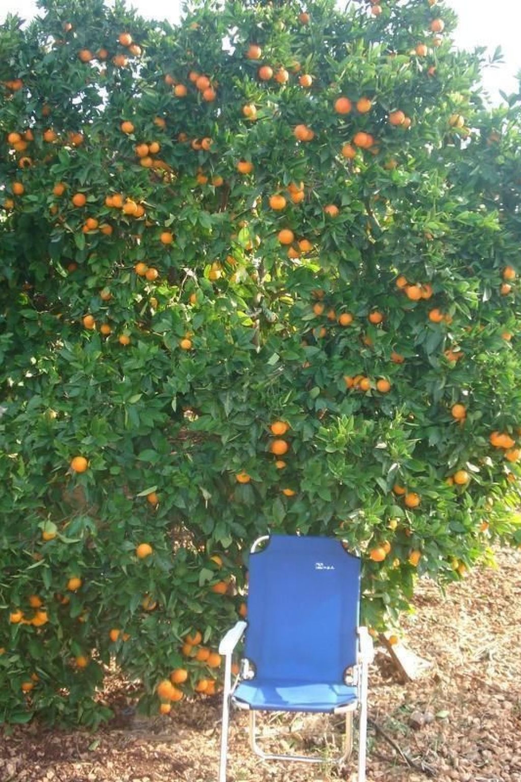 "Romantische Wohnung mit Meerblick"-Image-tags.info