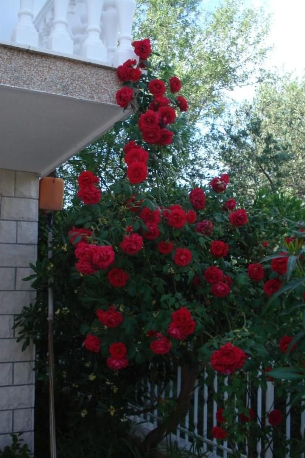 "Romantische Wohnung mit Meerblick"-Image-tags.info