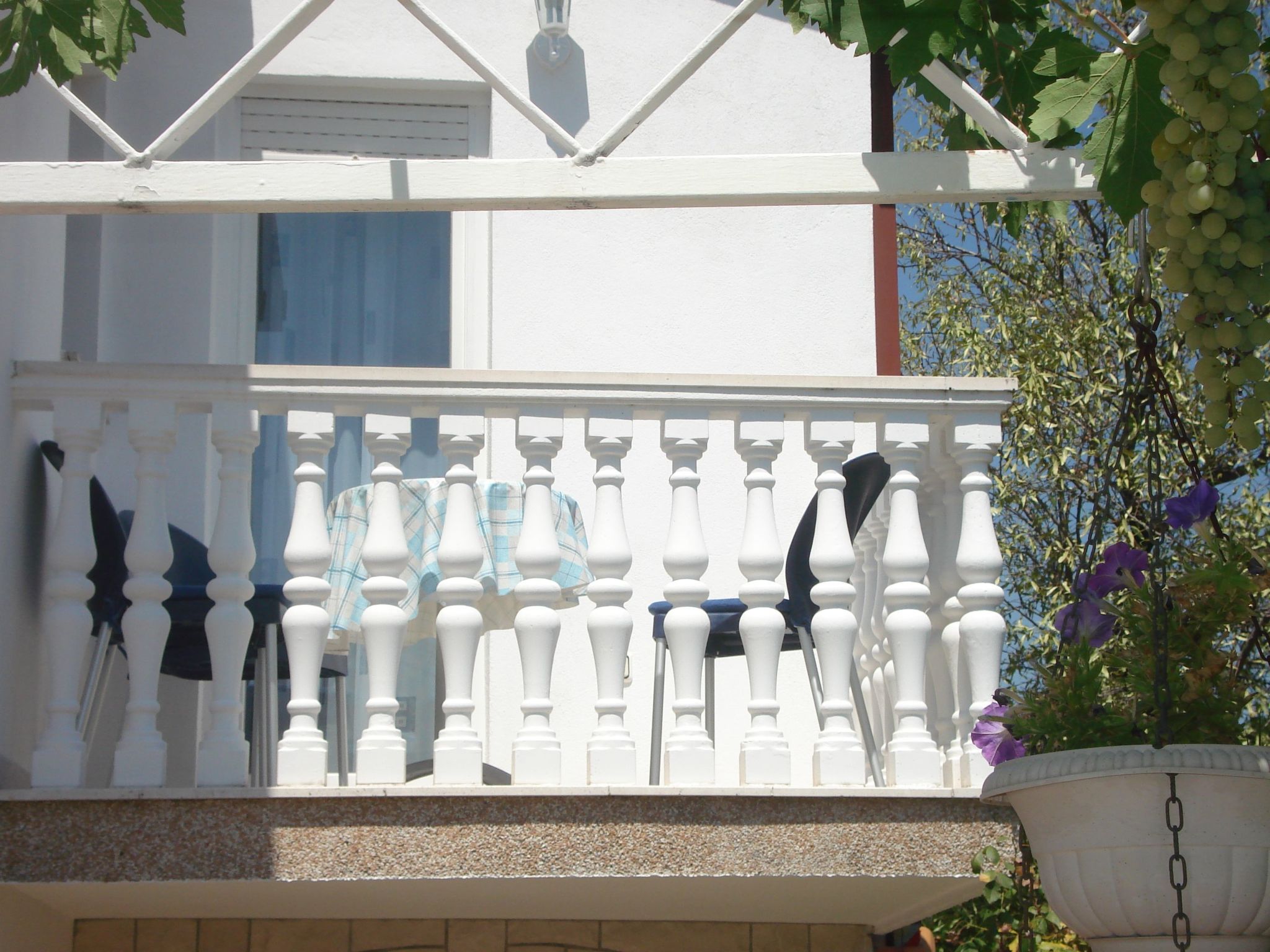 Jasmina für sechs Personen-Image-tags.info