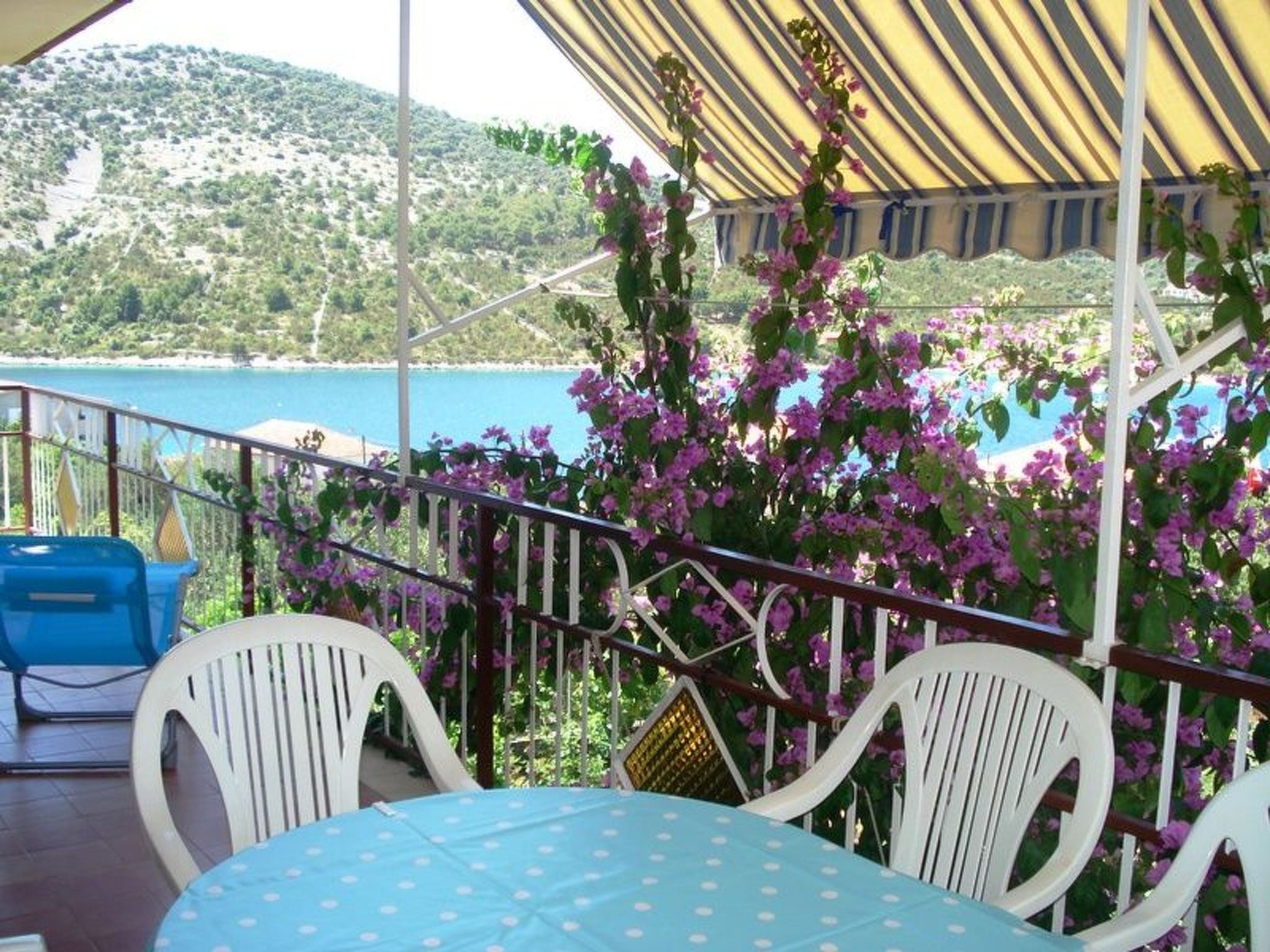 Jasmina für sechs Personen-Image-tags.info