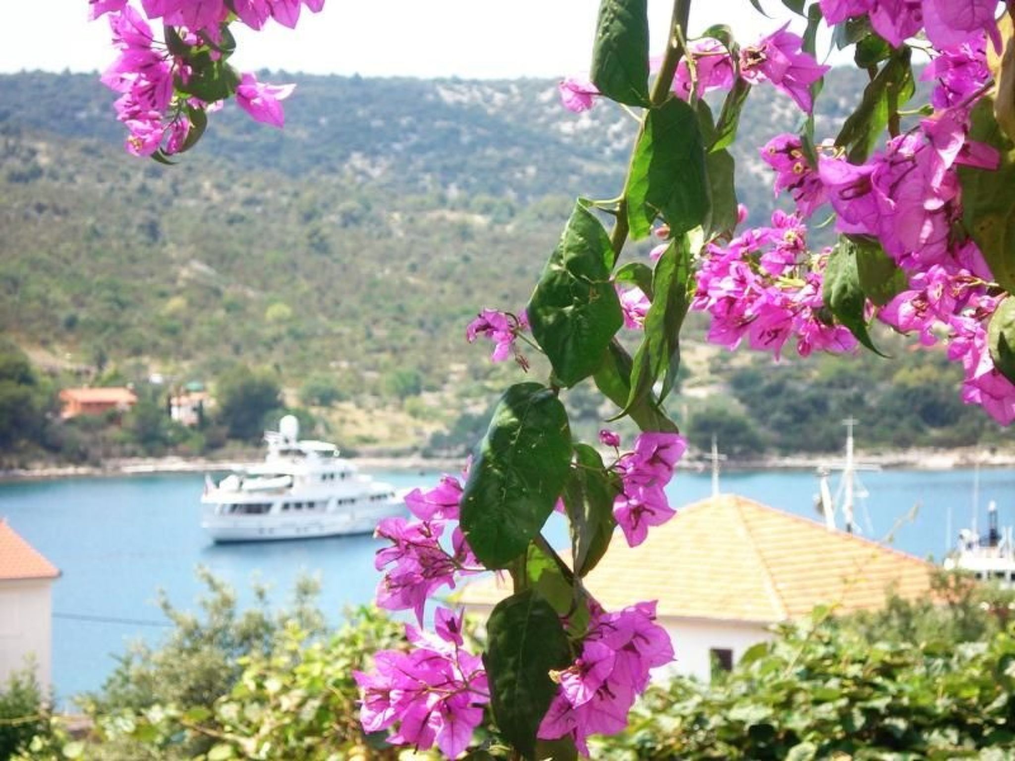 Jasmina für sechs Personen-Image-tags.info