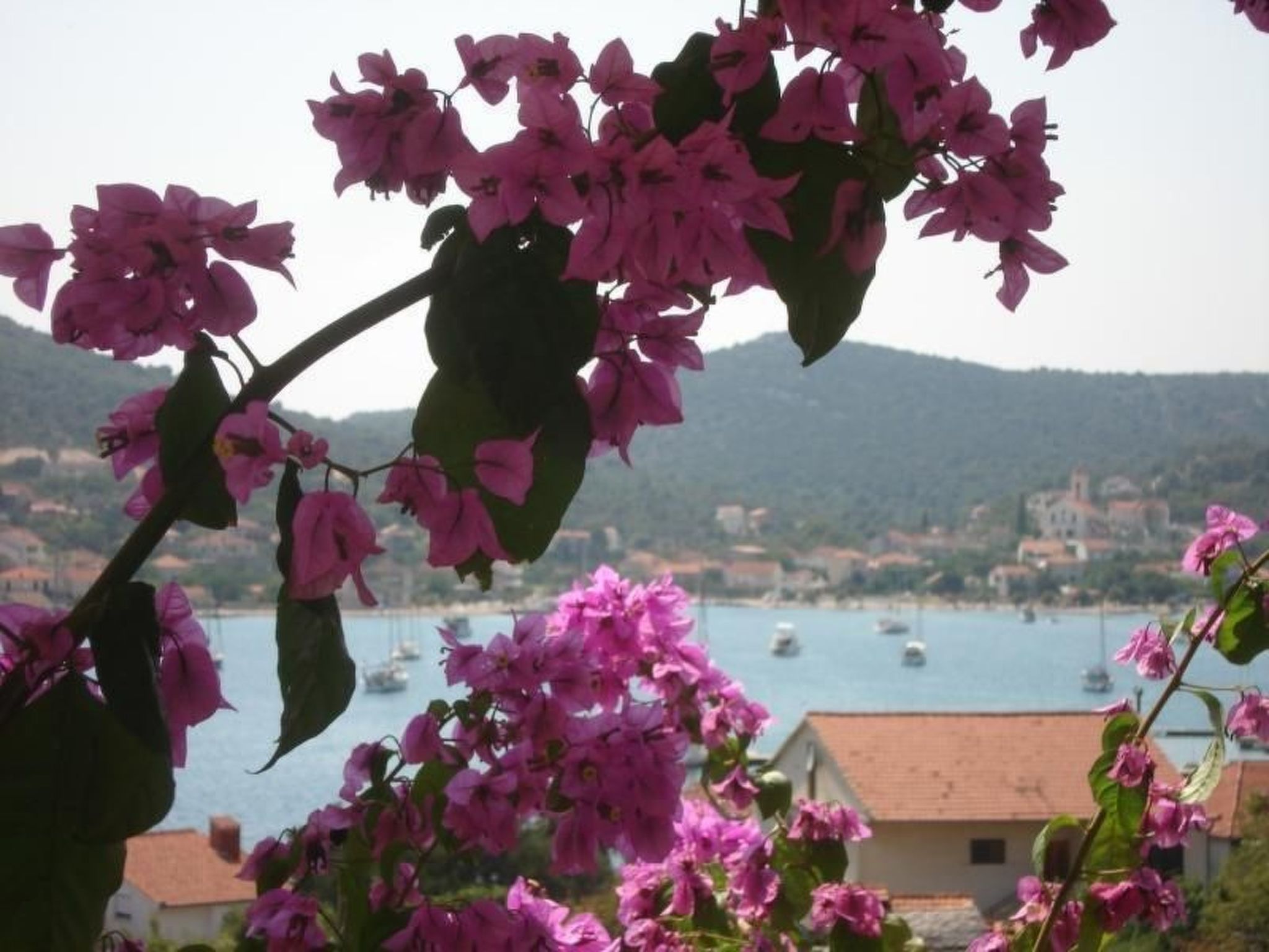 Jasmina für sechs Personen-Image-tags.info