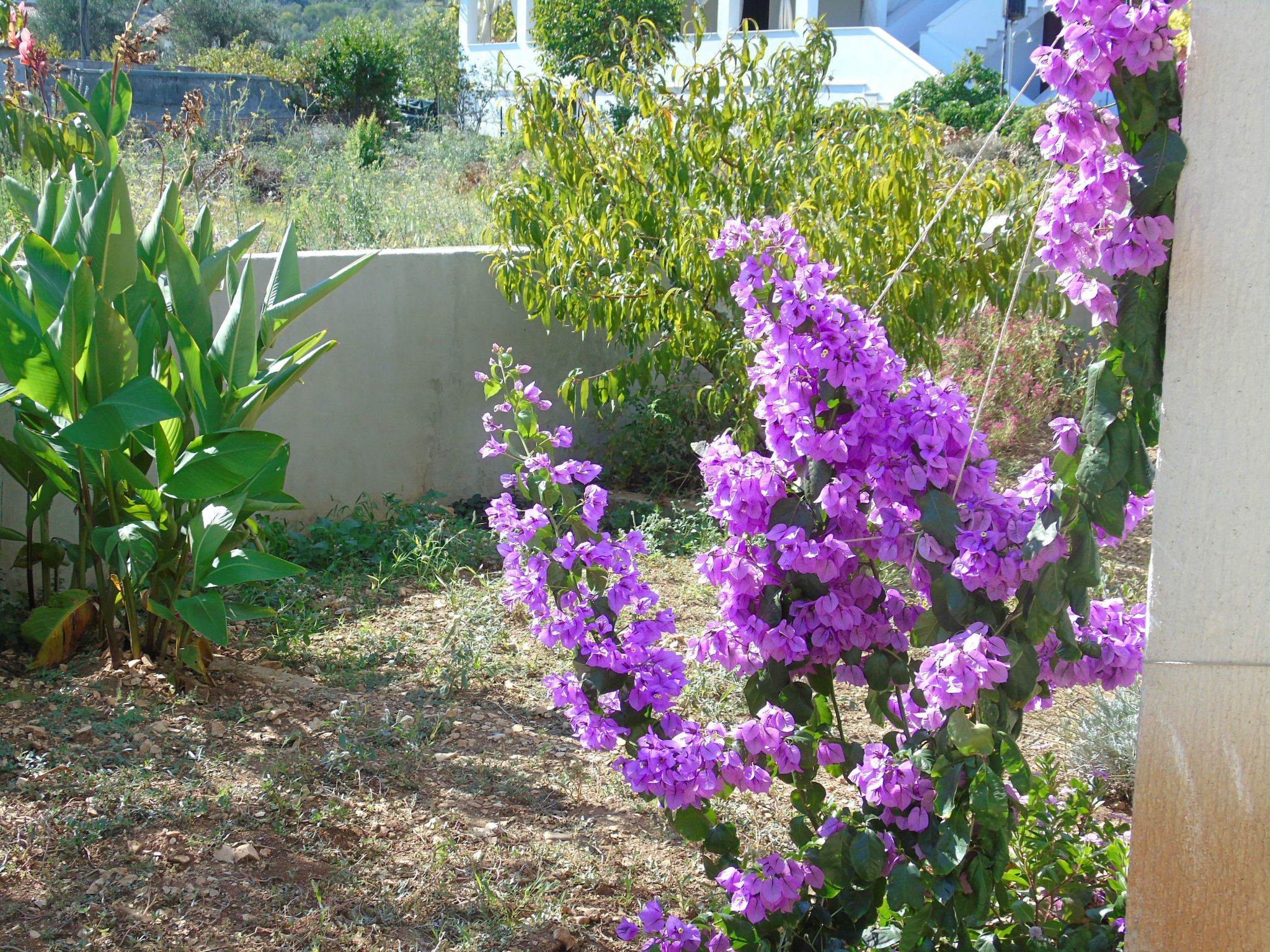 Wohnung direkt am Strand-Draußen