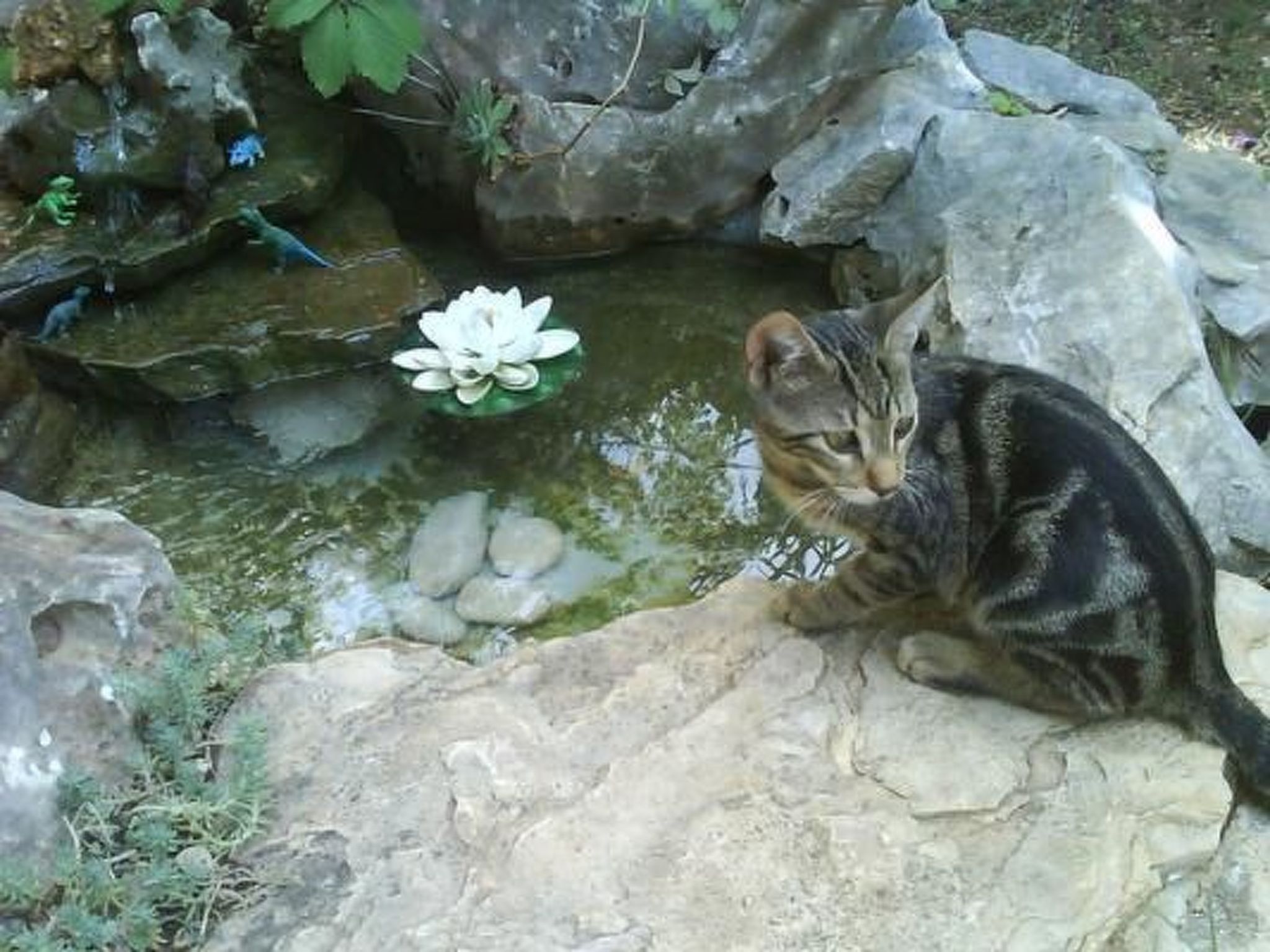 Mit Garten, Grill und Terrasse-Binnen