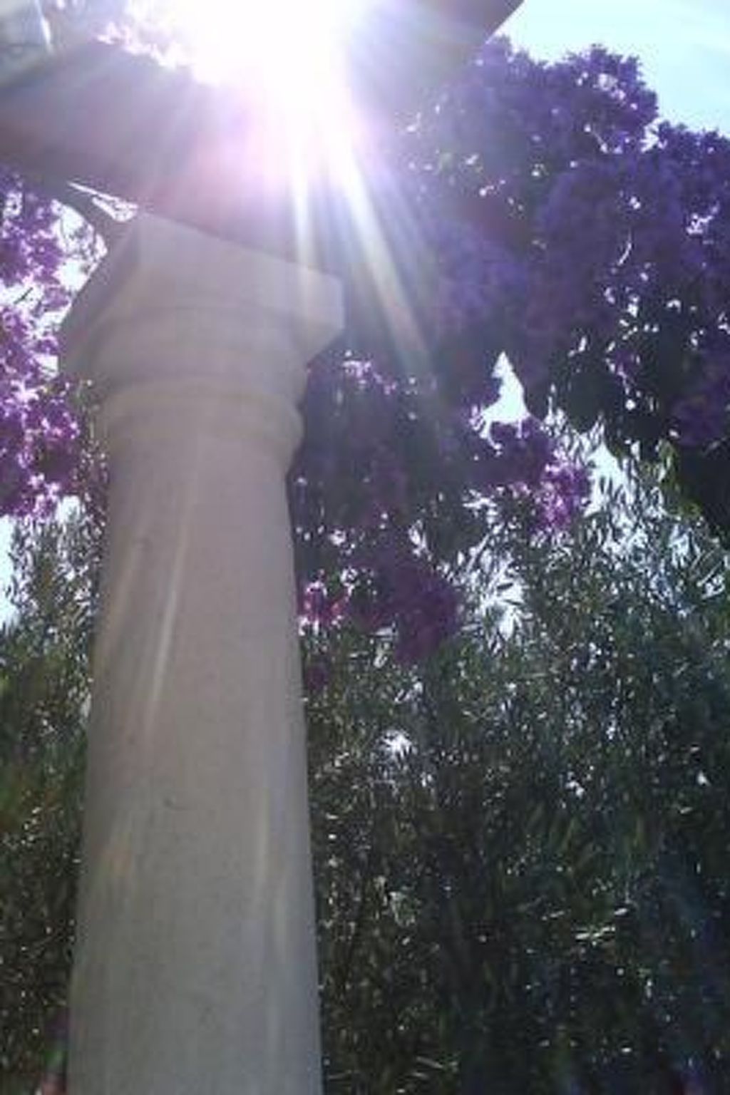 Mit Garten, Grill und Terrasse-Binnen