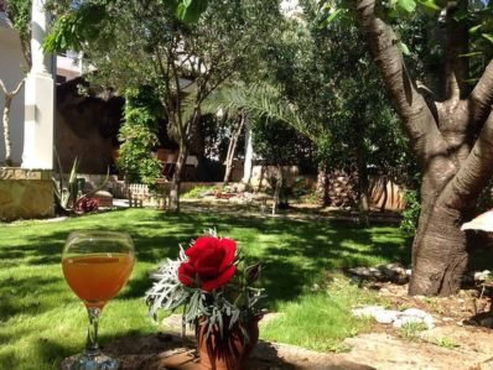 Mit Garten, Grill und Terrasse-Binnen