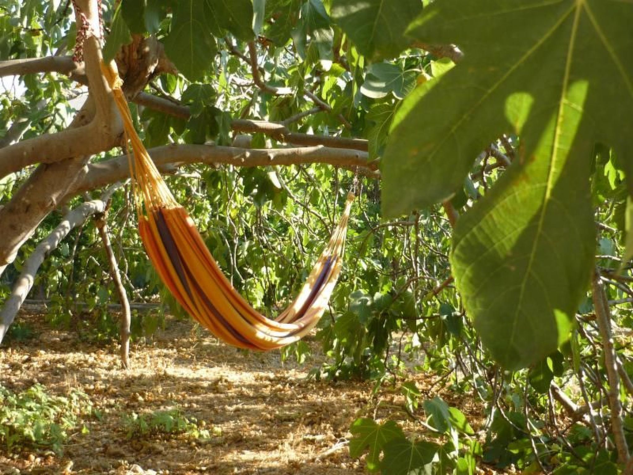 Ferienwohnung-Image-tags.info