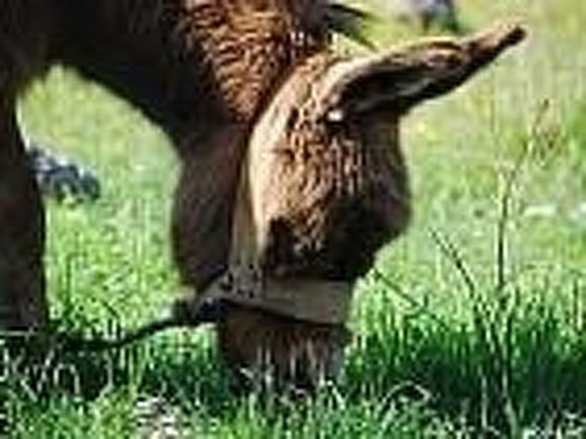 Ferienwohnung-Image-tags.info