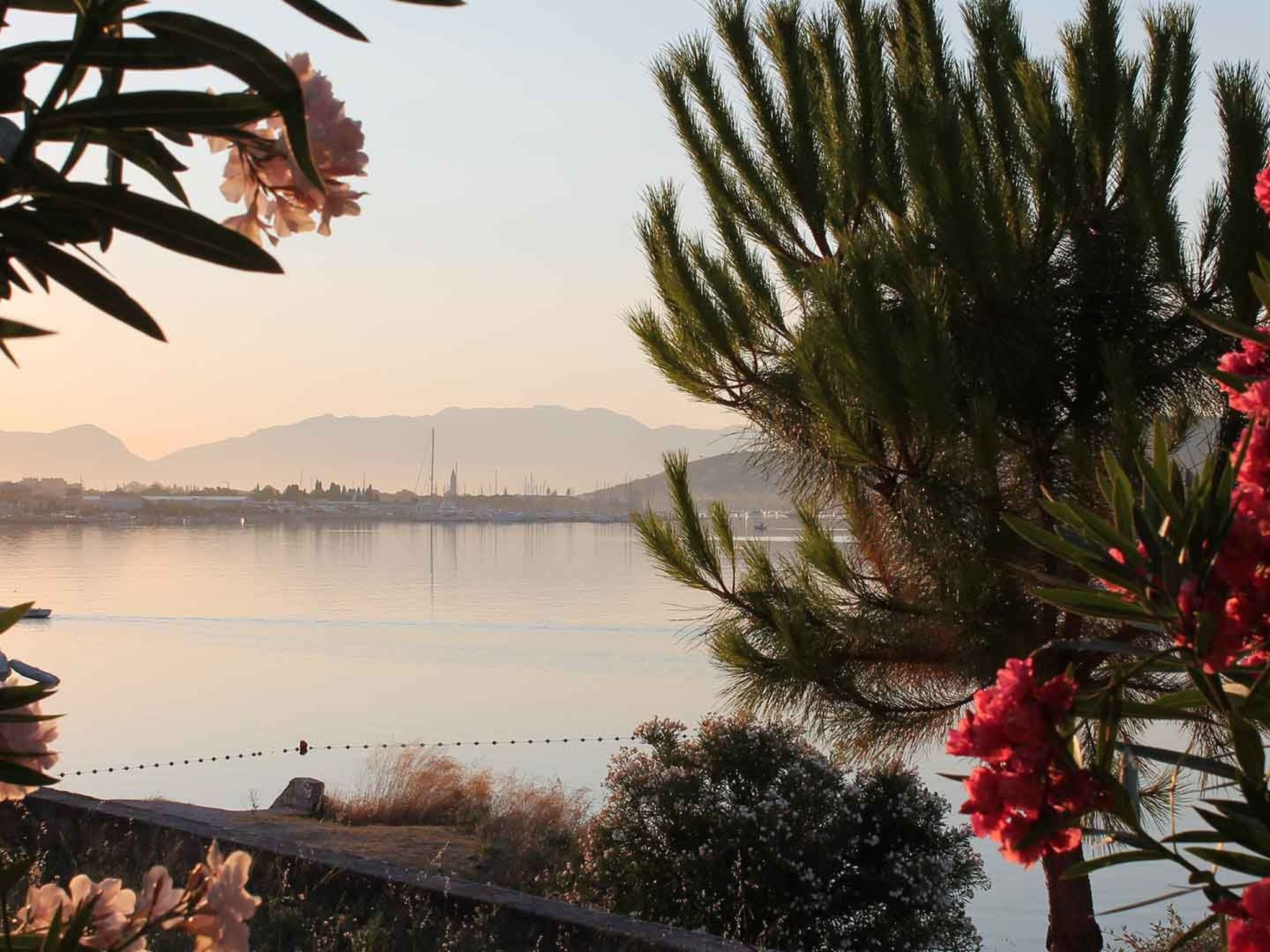 Wohnung Sea Star-Dehors