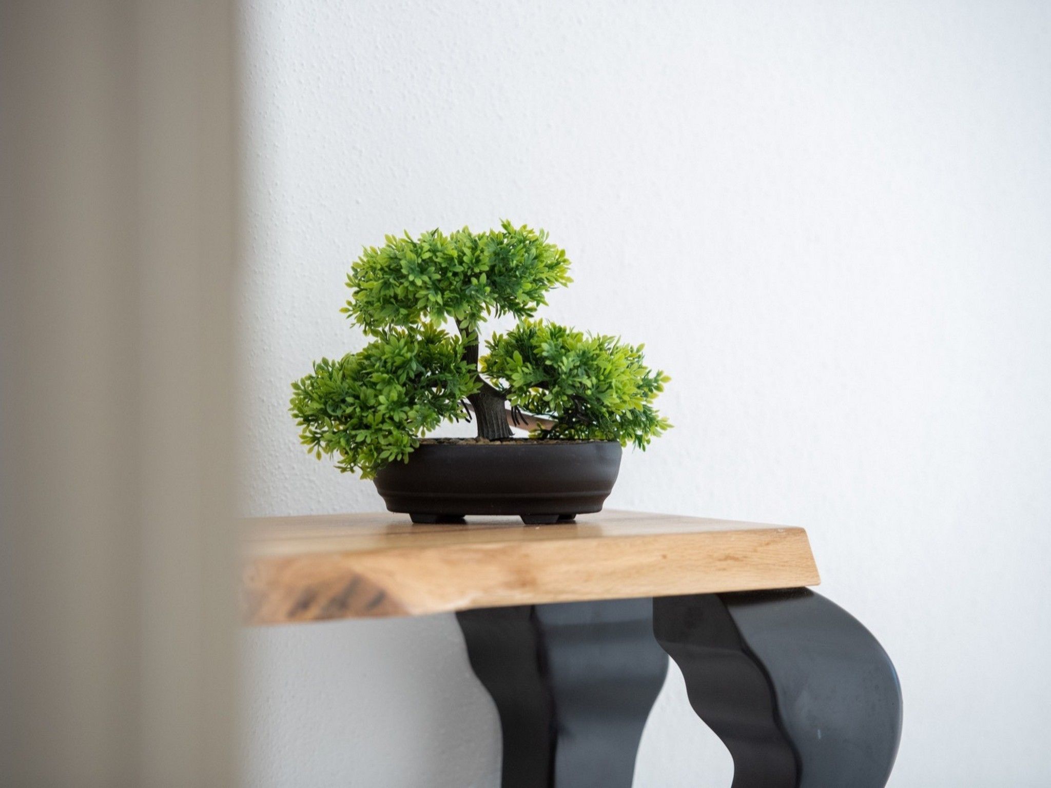 Moderne Ferienwohnung Zen 2-Image-tags.info