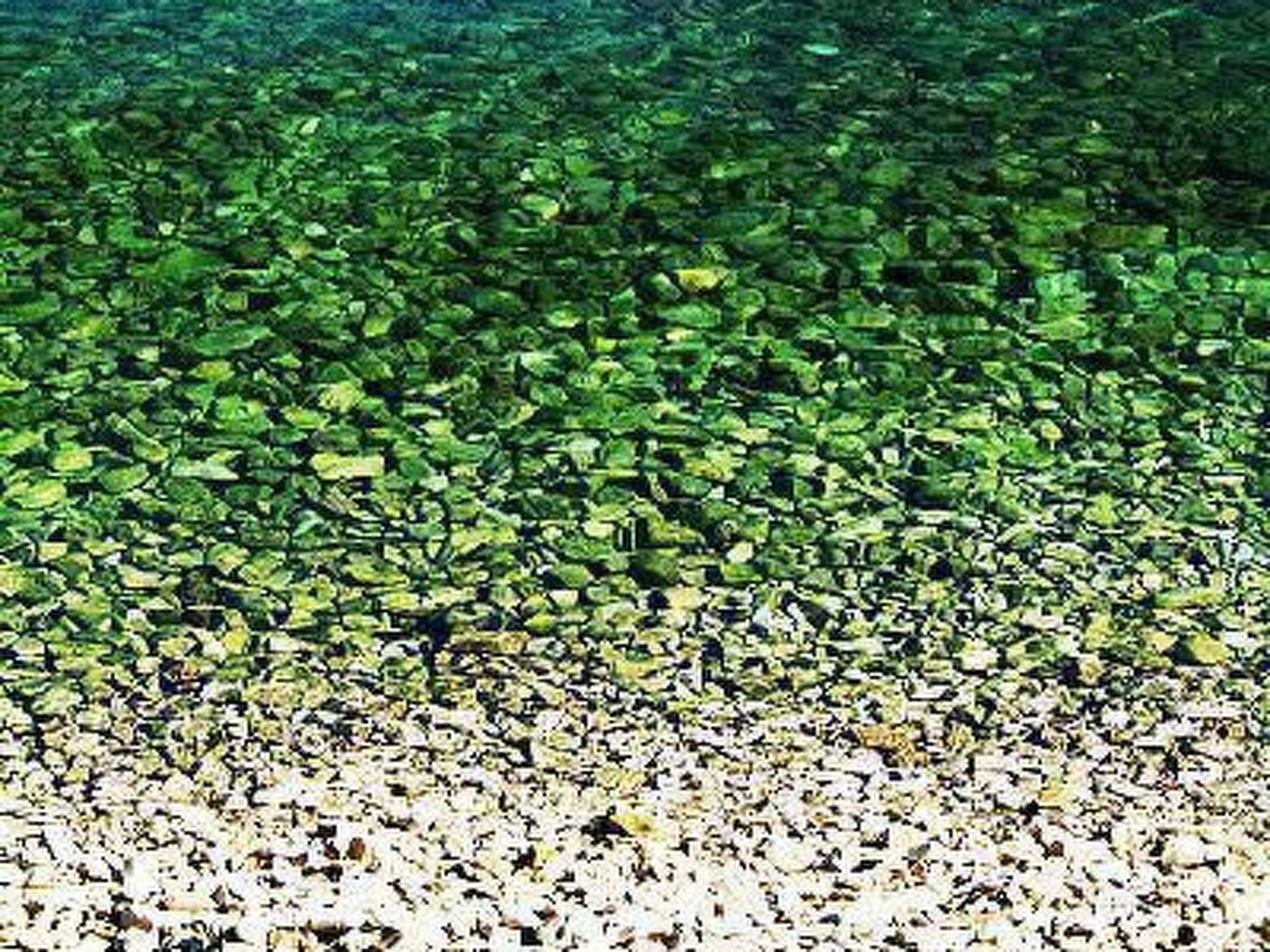 Erdgeschosswohnung mit Terrasse und Meerblick-Image-tags.info