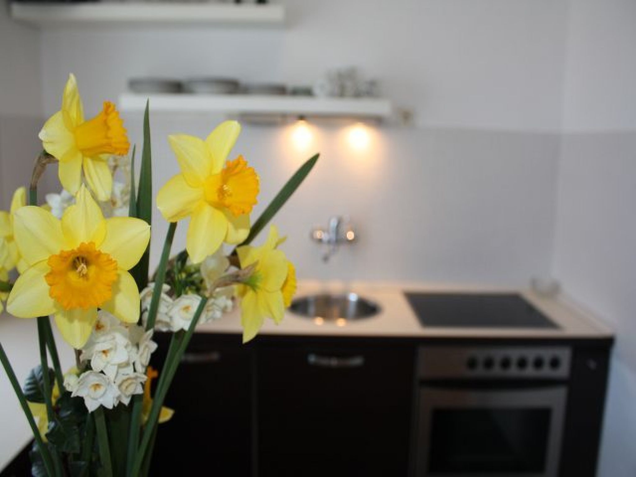 In Seget Donji mit Garten und Grill-Image-tags.info