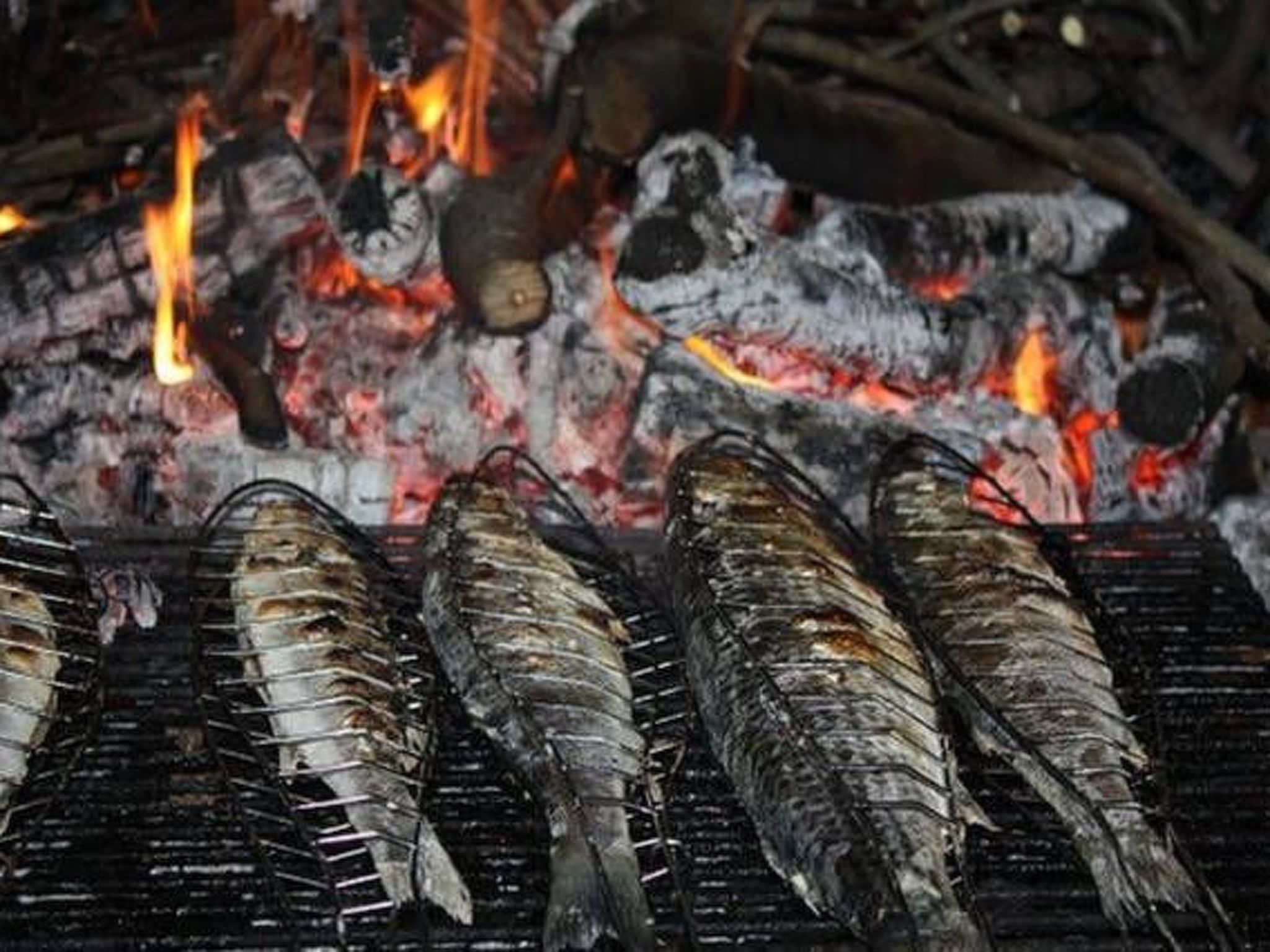 In Seget Donji mit Garten und Grill-Image-tags.info