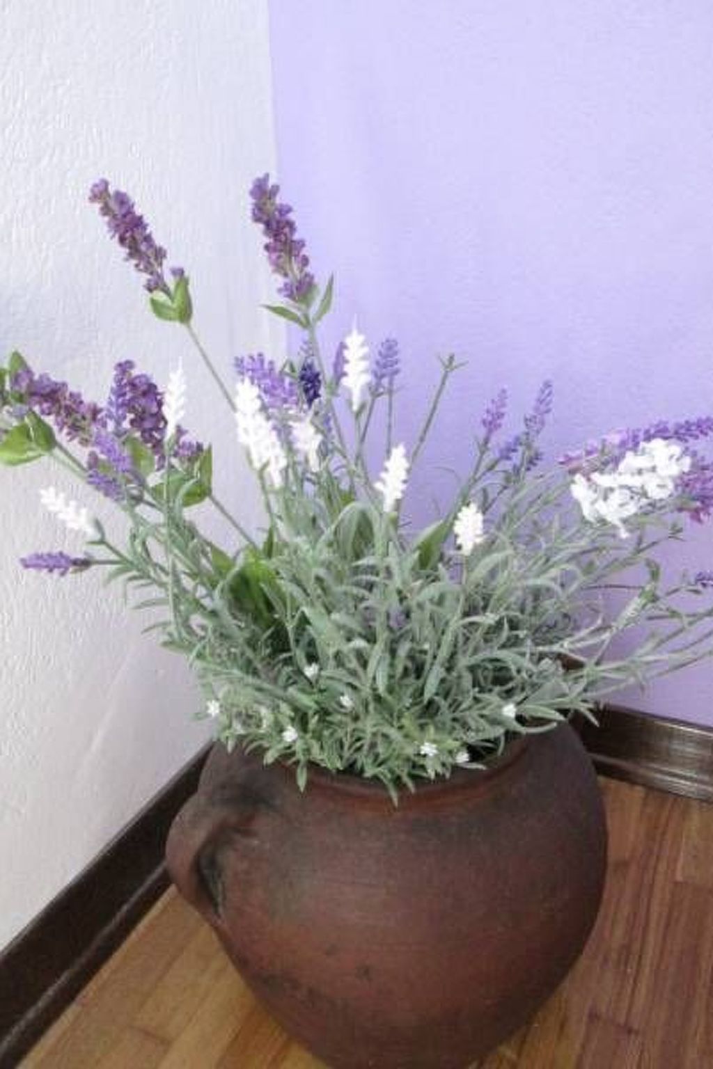 Wohnung "Lorenzo" mit Terrasse-Dedans