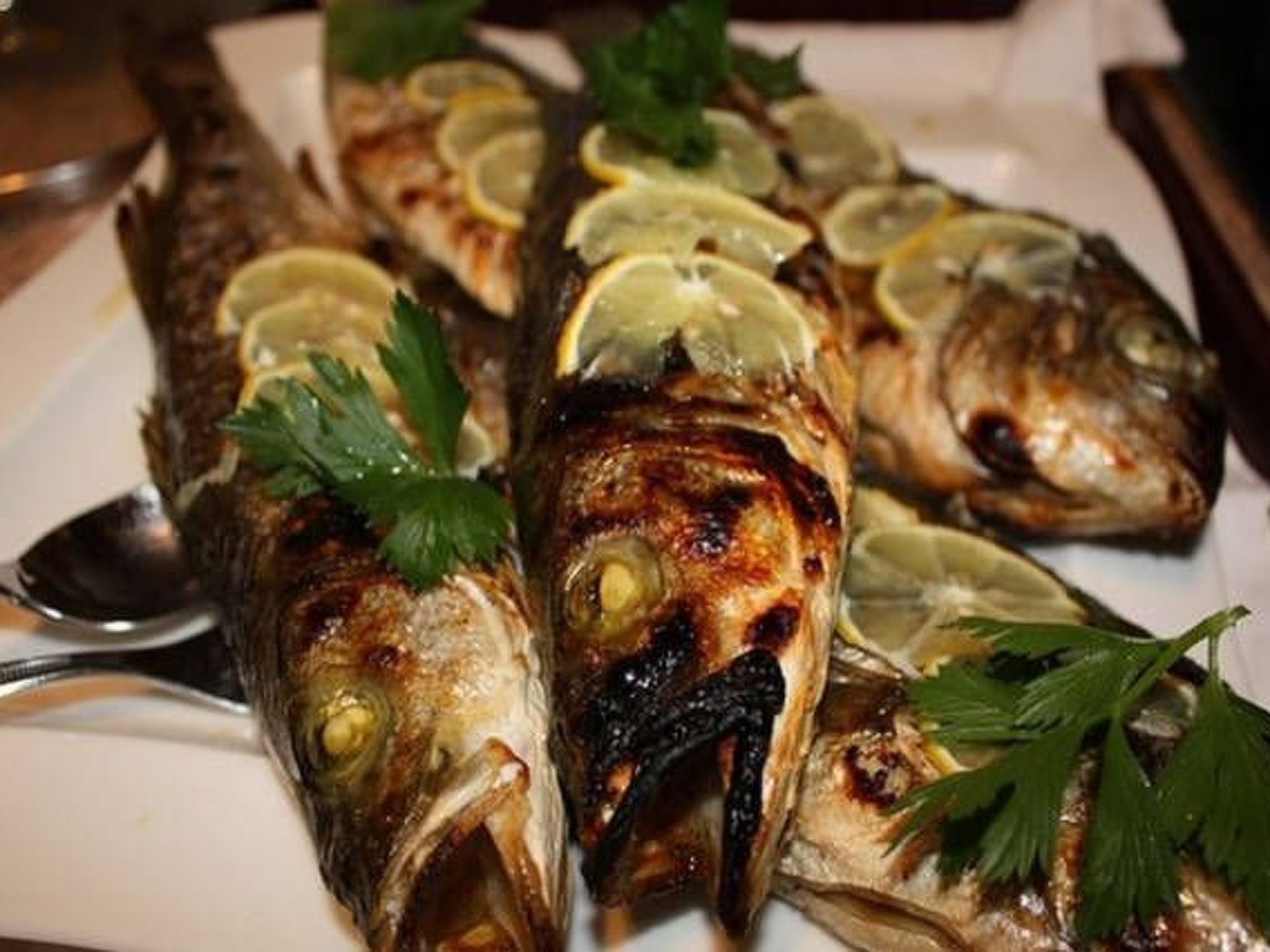 Gemütliche Wohnung in Seget Donji mit Grill und Garten-Image-tags.info