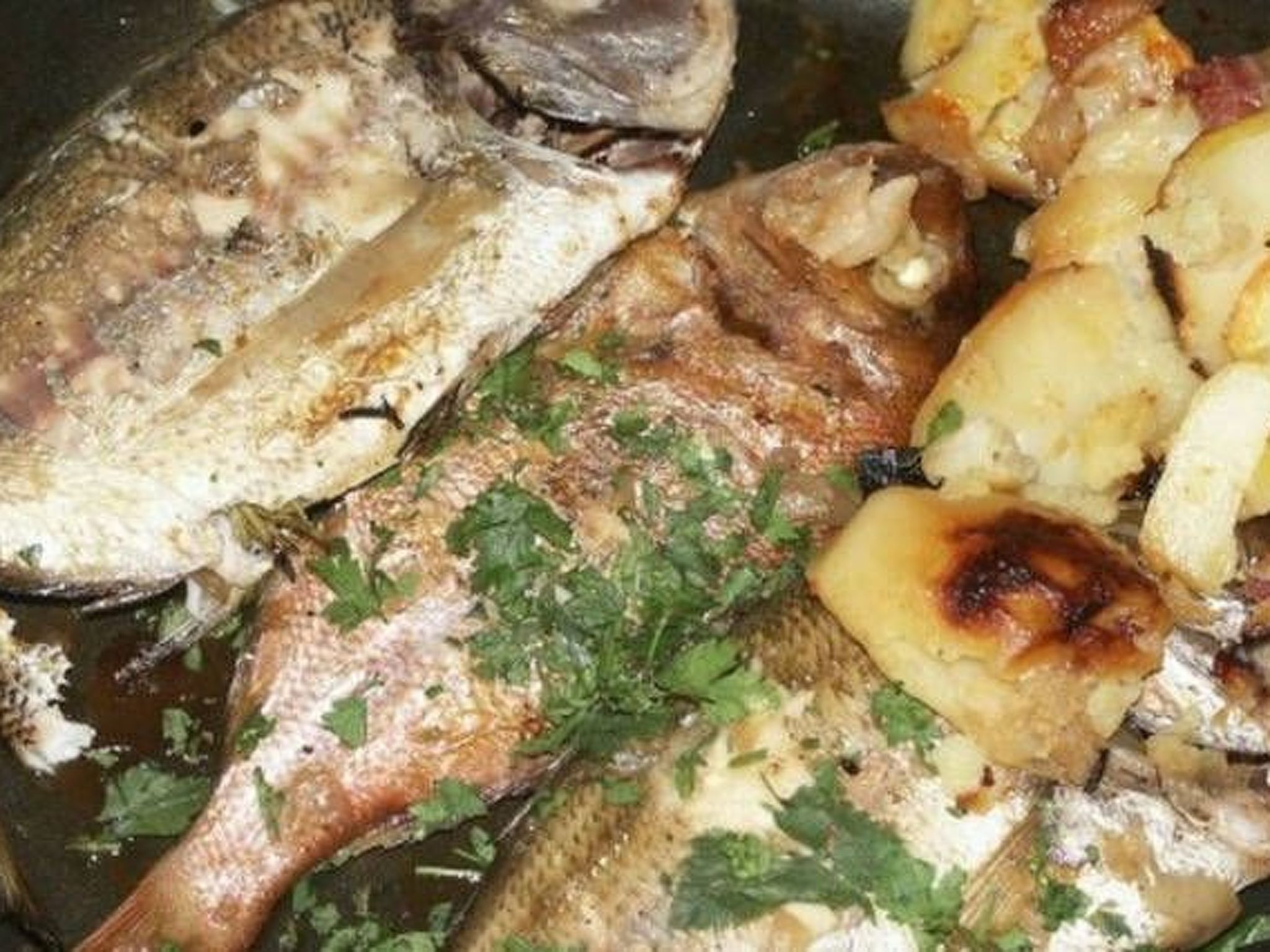 Gemütliche Wohnung in Seget Donji mit Grill und Garten-Image-tags.info