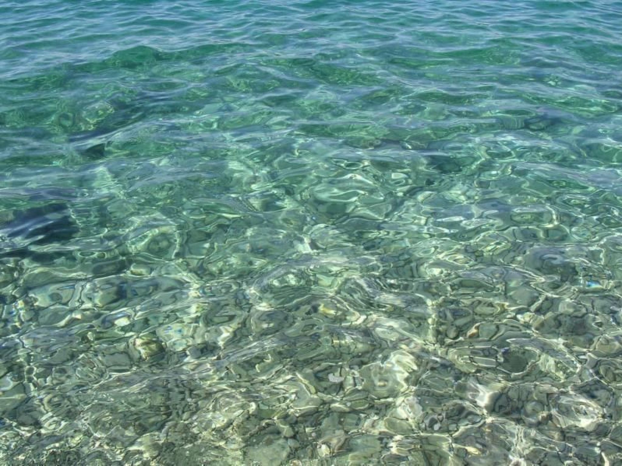 Wohnung mit Grill, Terrasse und Garten-Drinnen