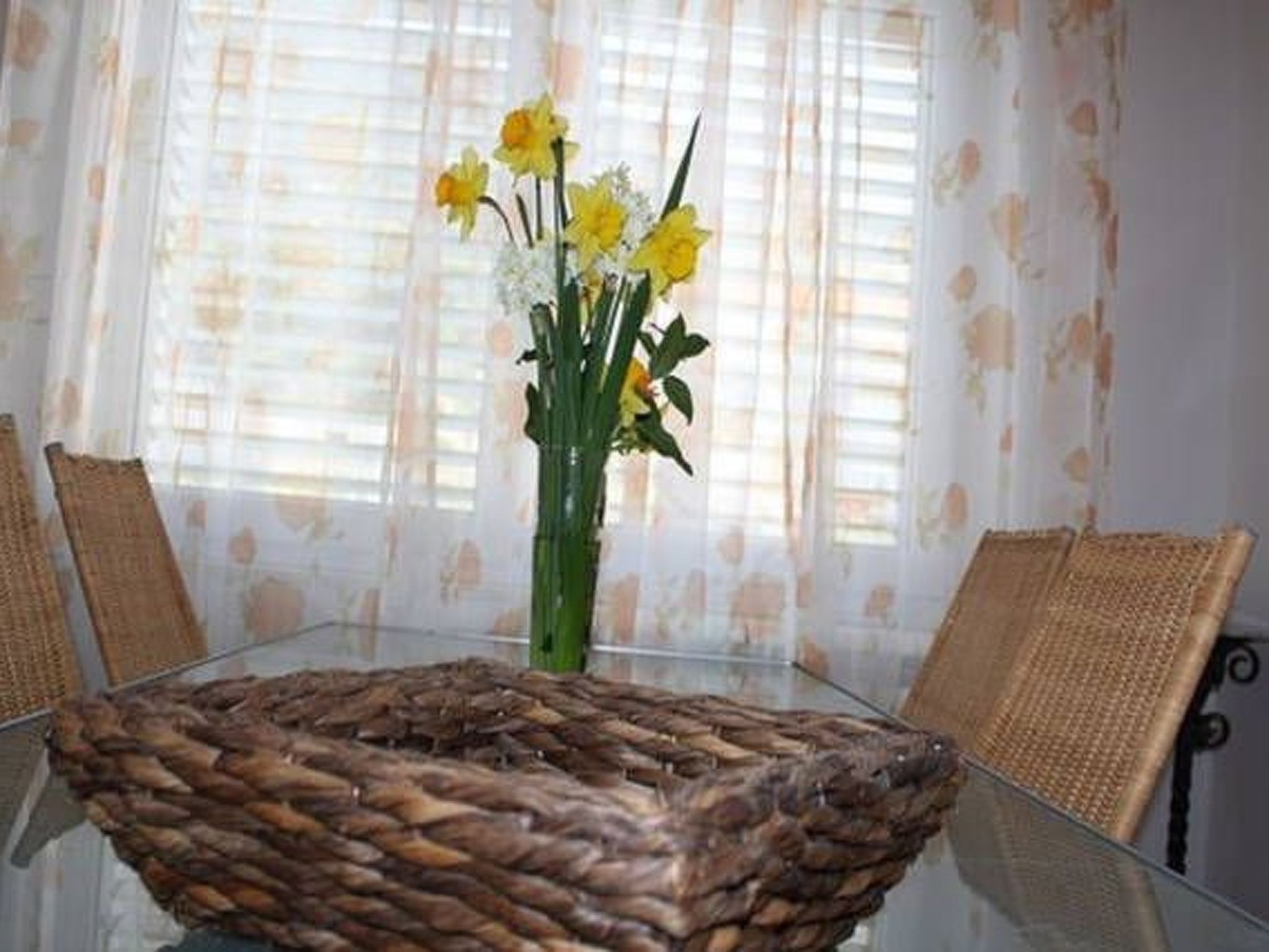 Wohnung in Seget Donji mit Grill und Garten-Image-tags.info