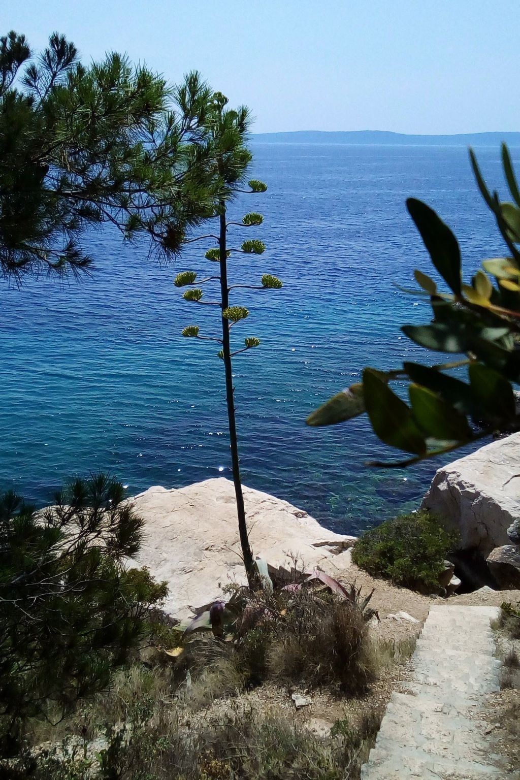 Mit Balkon-Image-tags.info