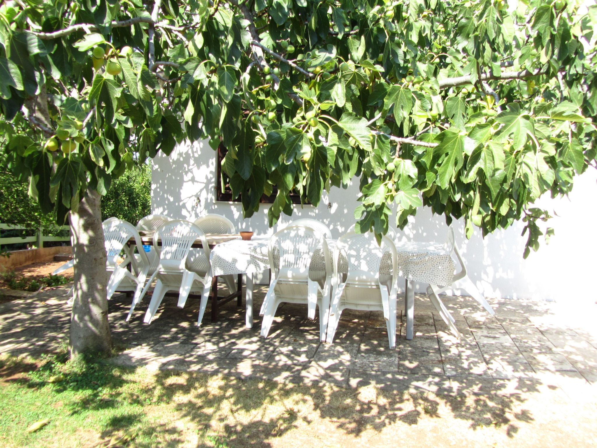 Mit Terrasse-Outside