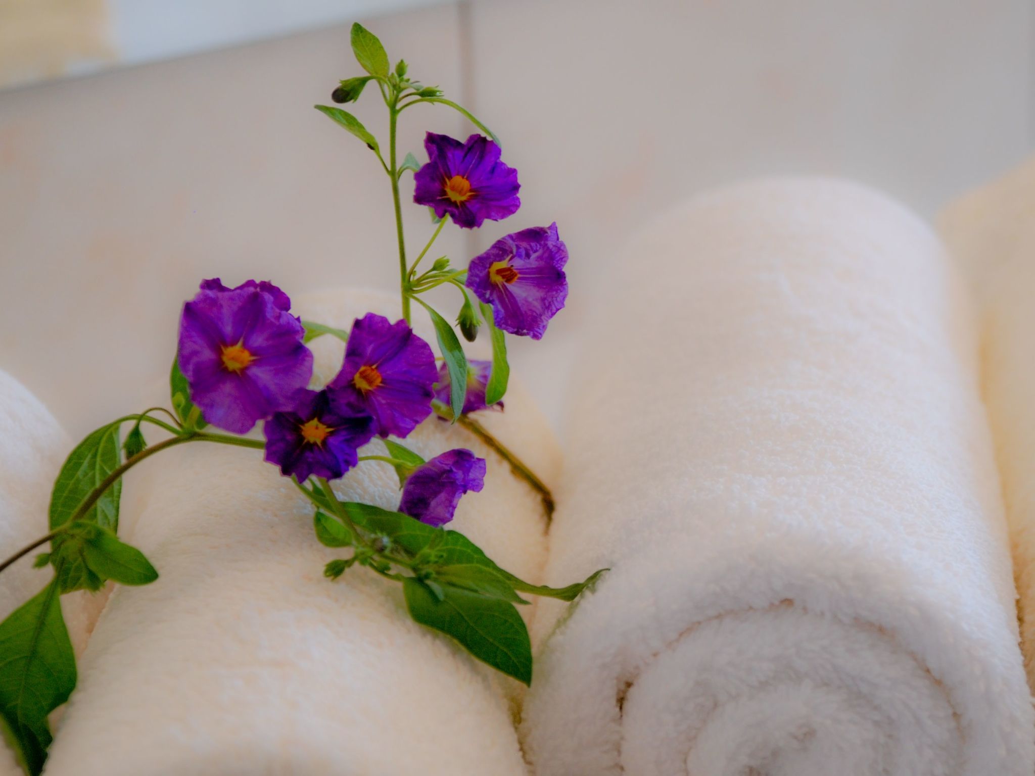 Mit Terrasse und Grill-Dedans