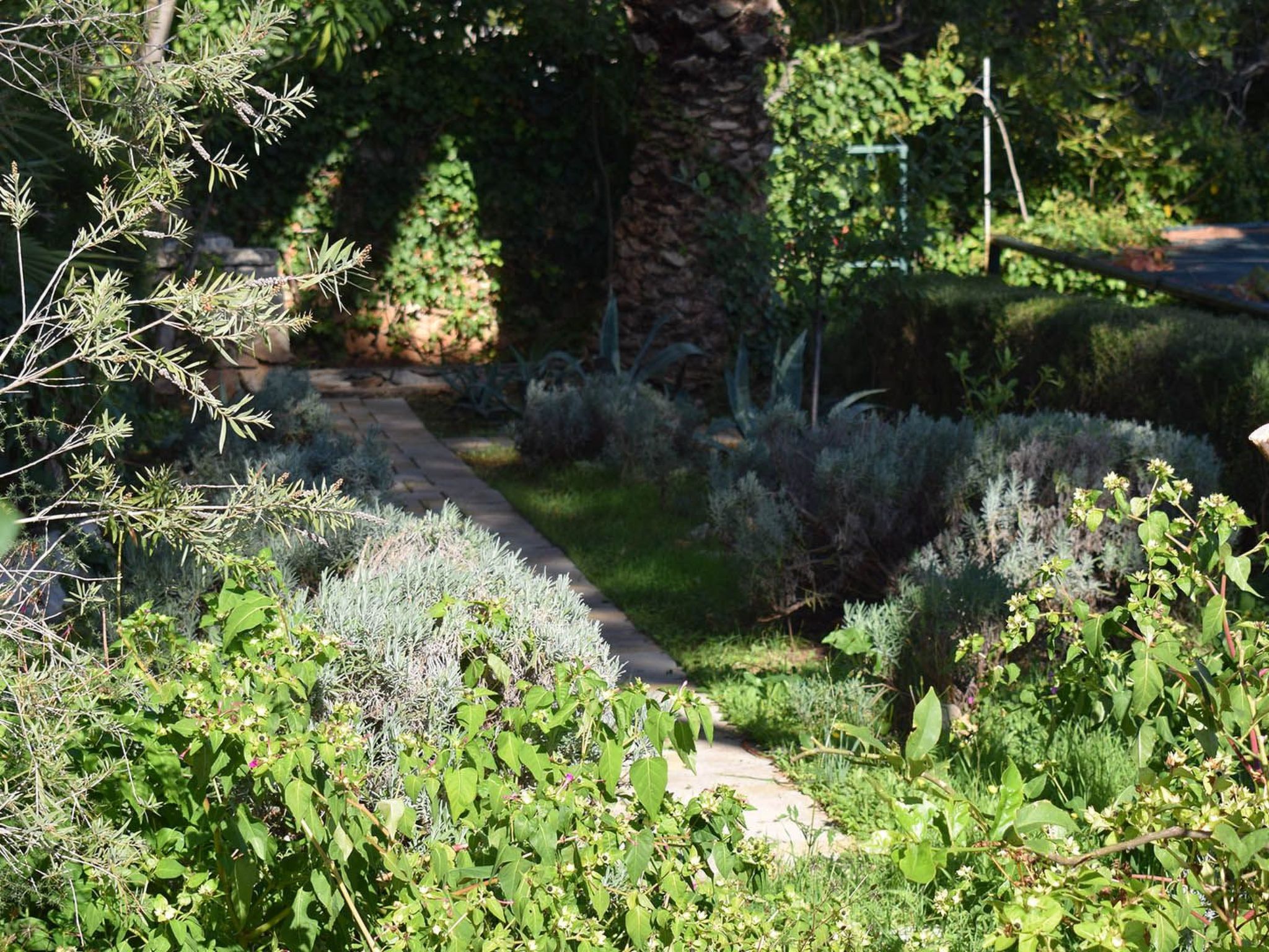 Appartement mit Meerblick Skale II. in Strandnähe-Draußen