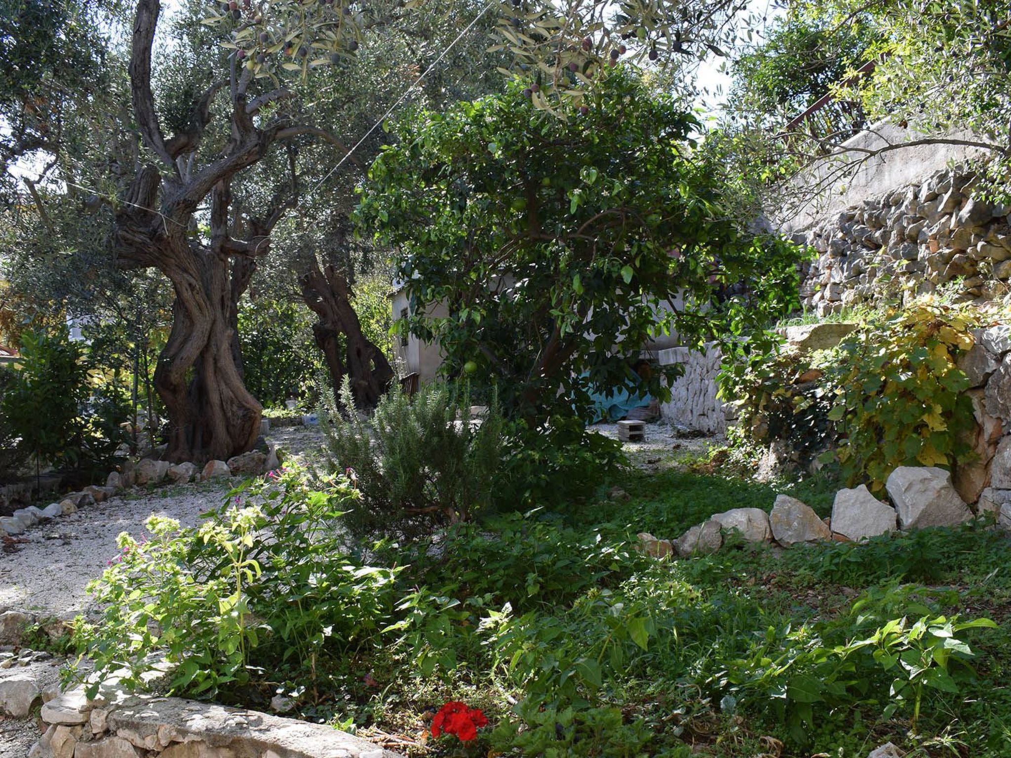 Appartement mit Meerblick Skale II. in Strandnähe-Draußen
