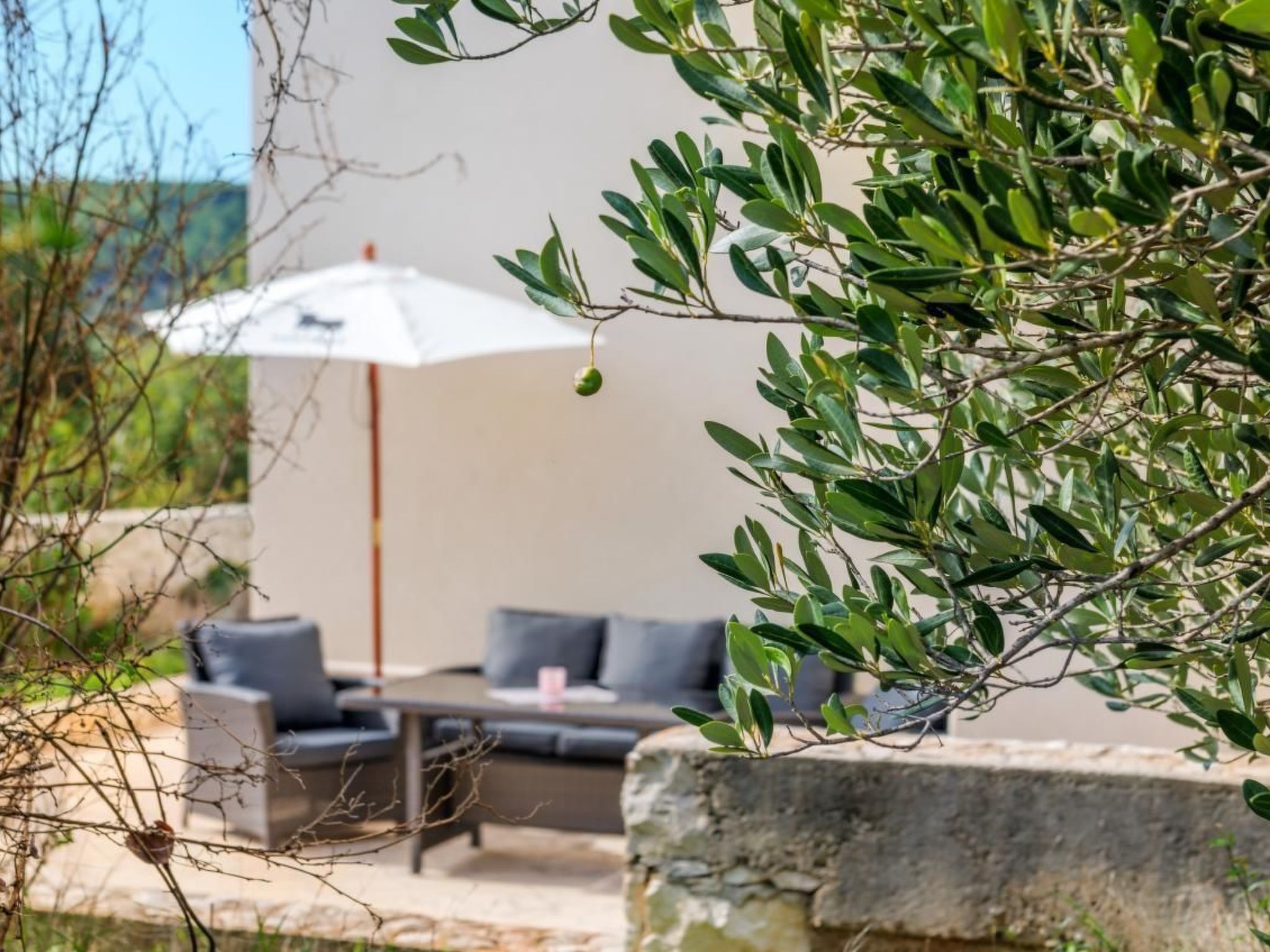 Sinaja-Image-tags.info