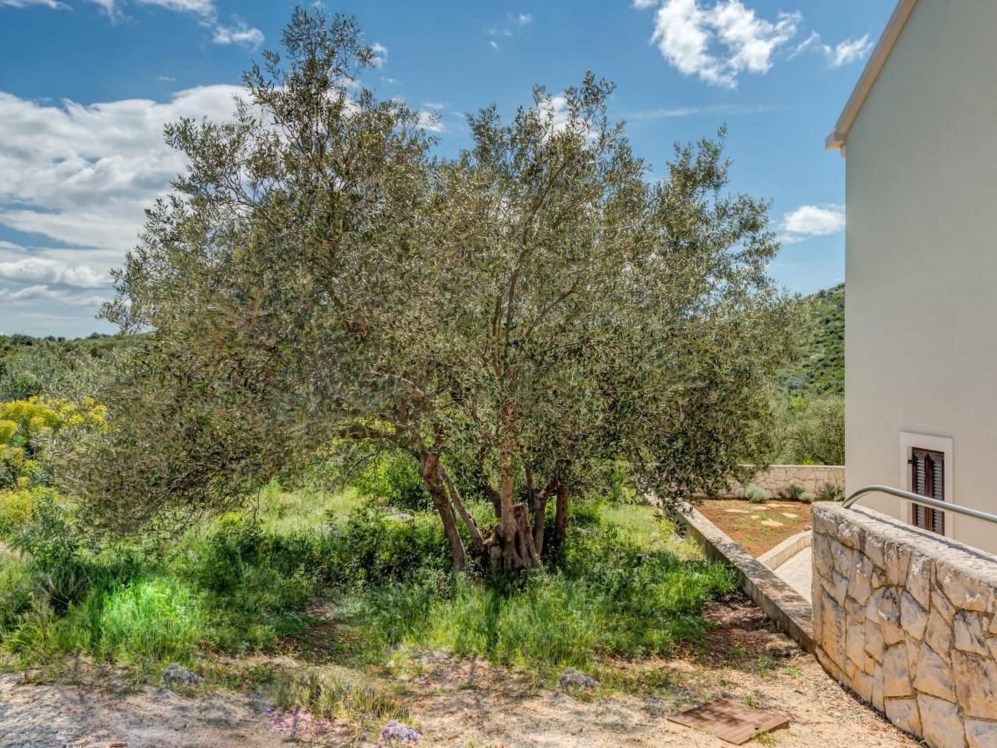 Sinaja-Image-tags.info