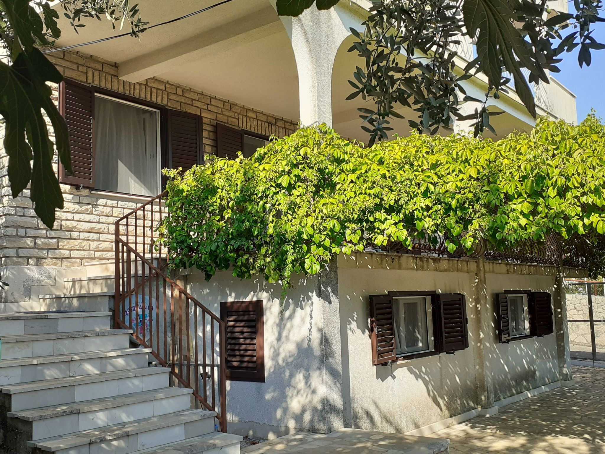 "Mladen" mit Blick auf das Wasser