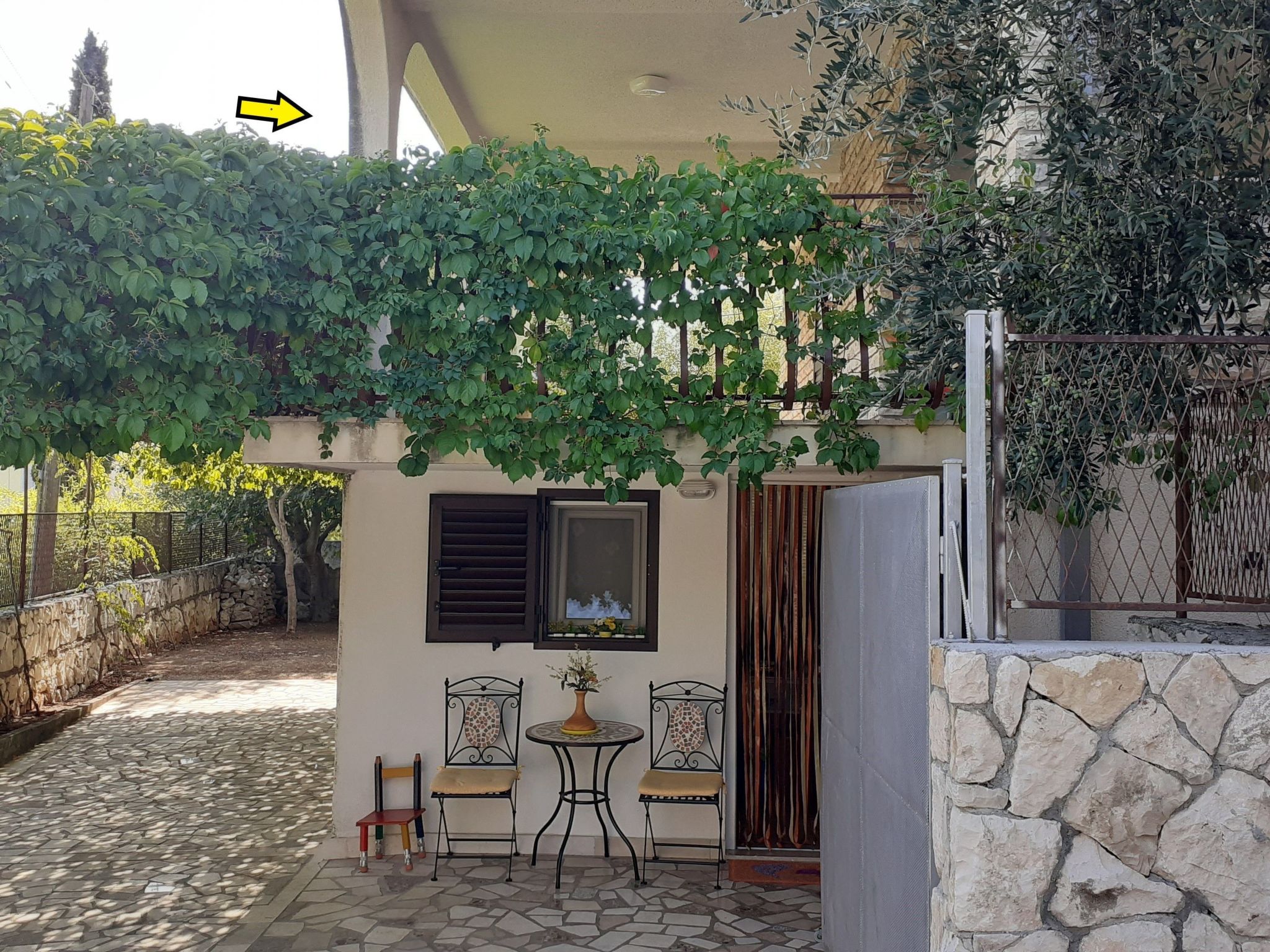 "Mladen" mit Blick auf das Wasser-Image-tags.info