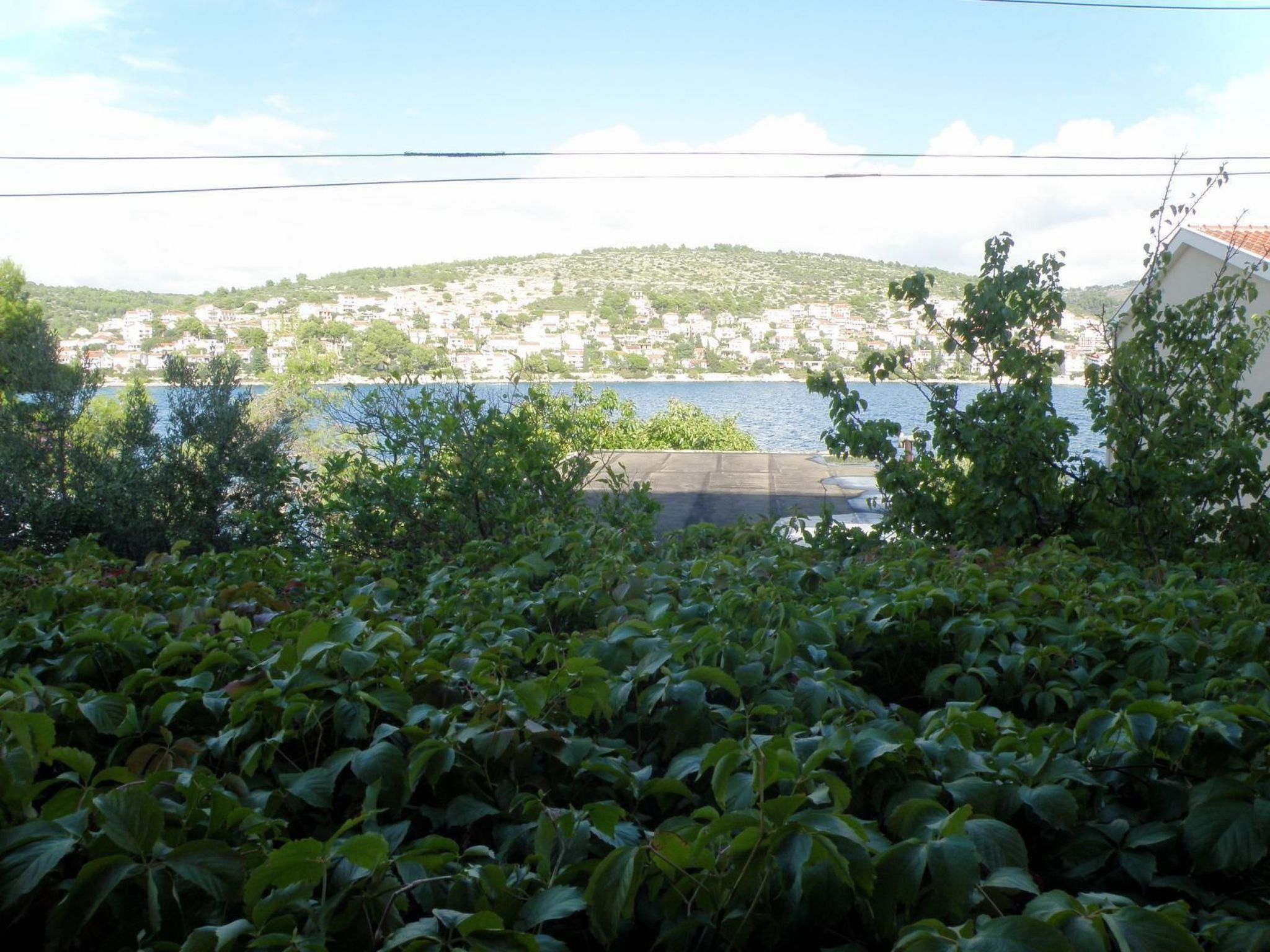 "Mladen" mit Blick auf das Wasser-Image-tags.info