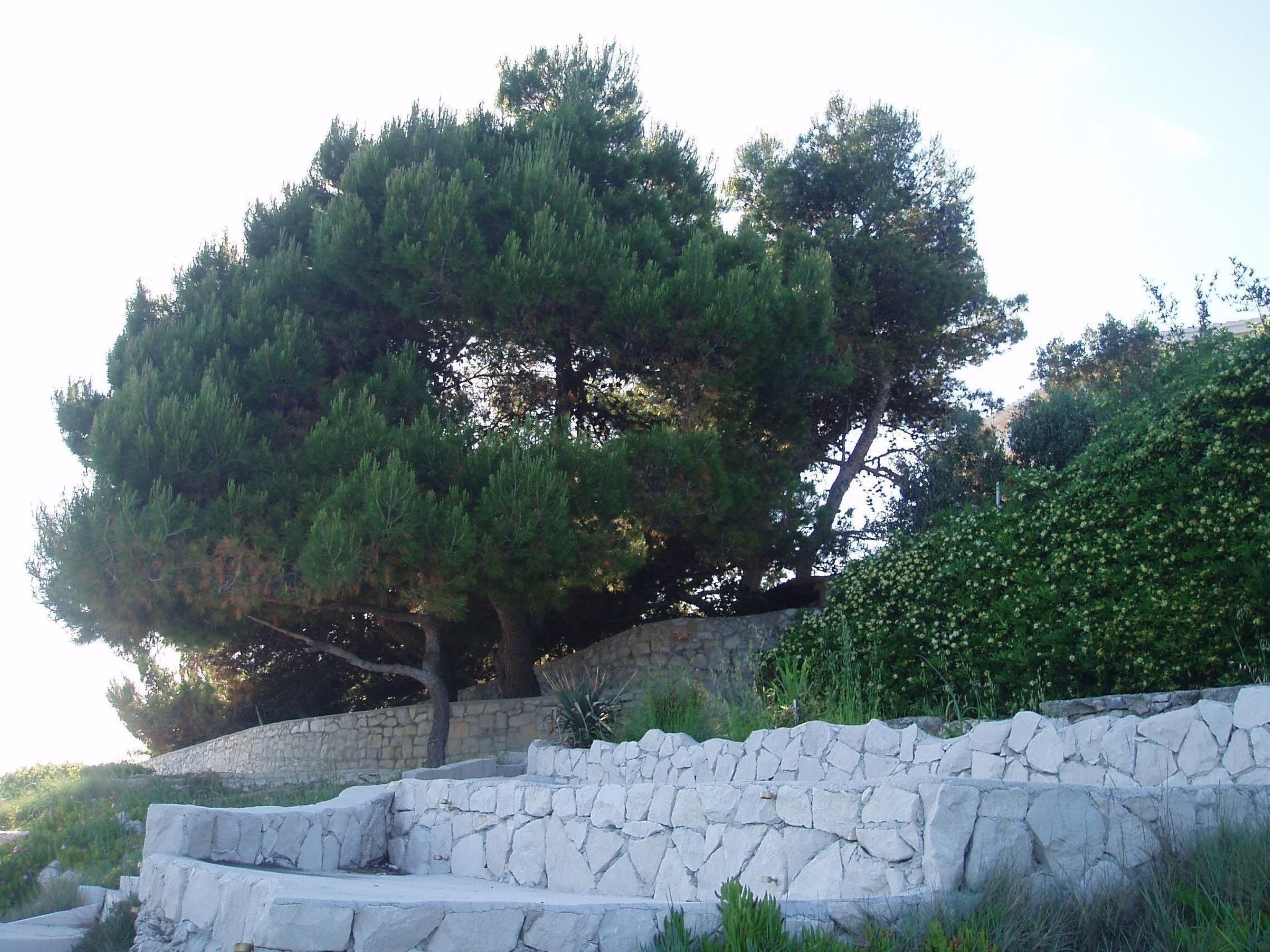 Mit Balkon und herrlichem Meerblick-Drinnen