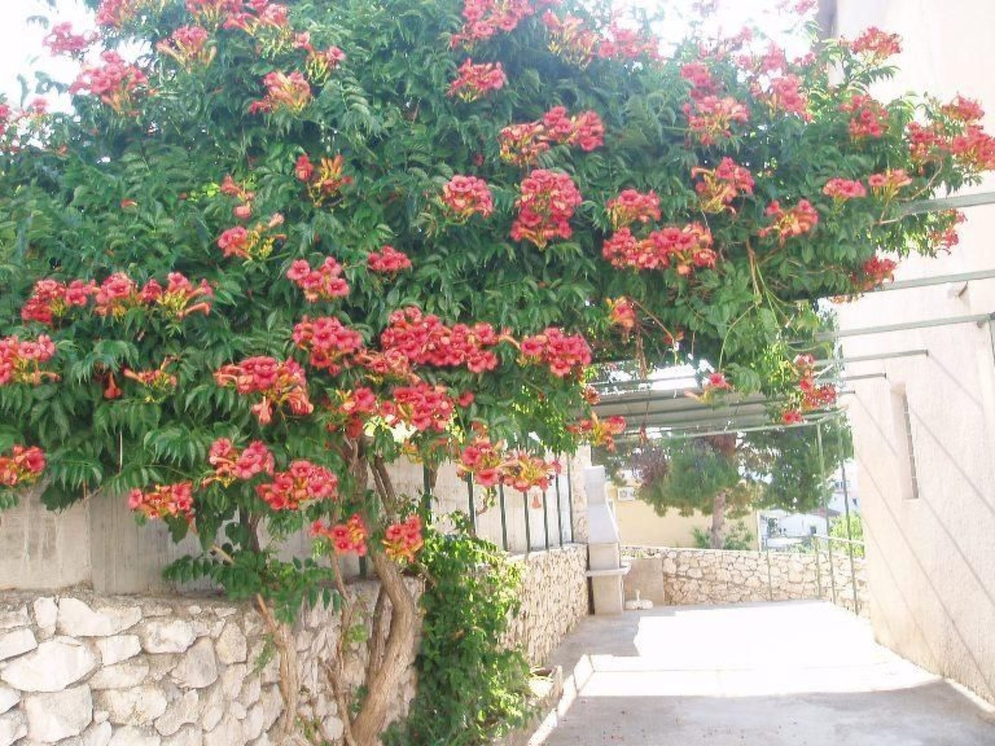 Mit Balkon und herrlichem Meerblick-Drinnen