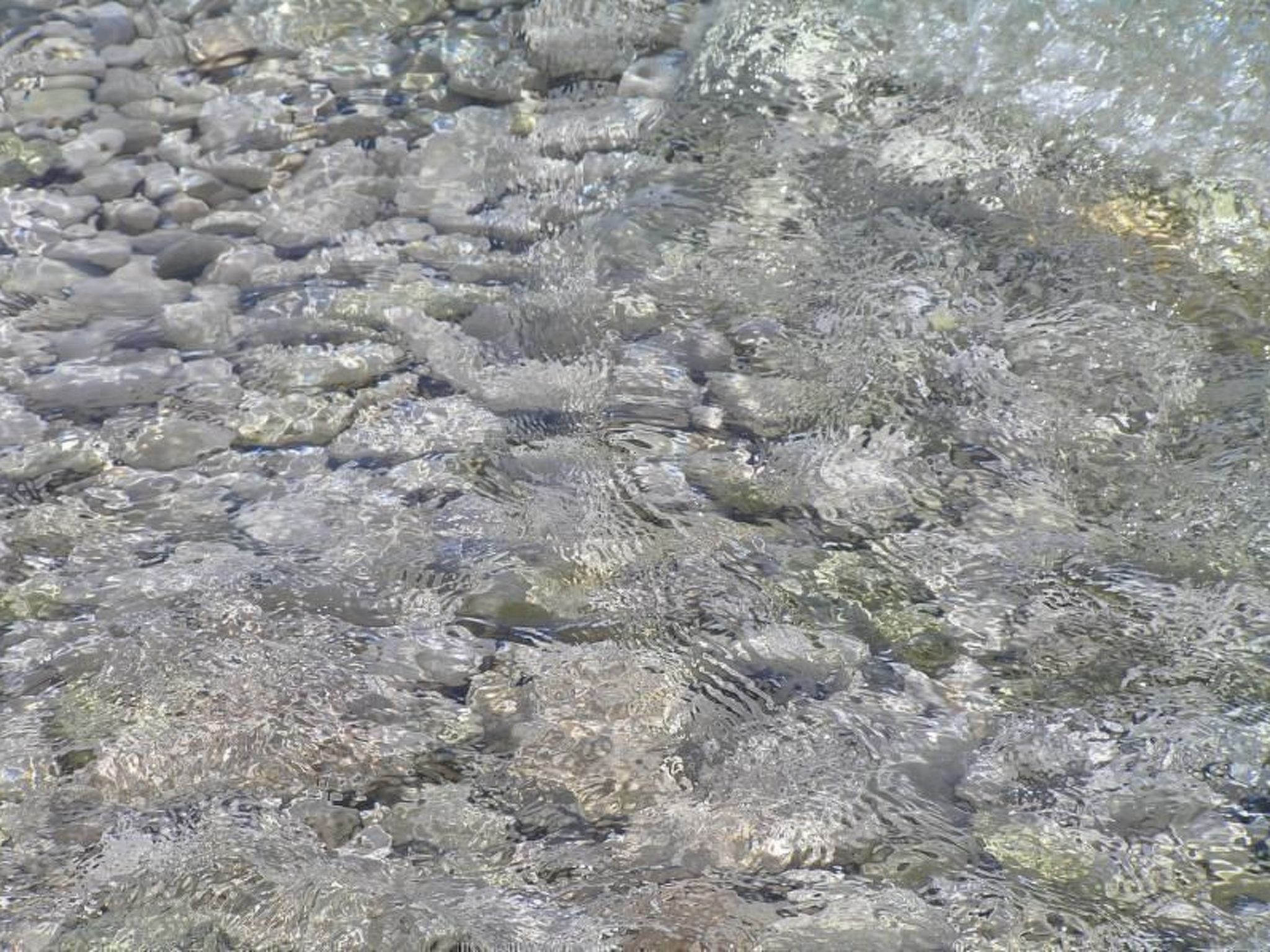 Wohnung mit Balkon und Meerblick-Drinnen