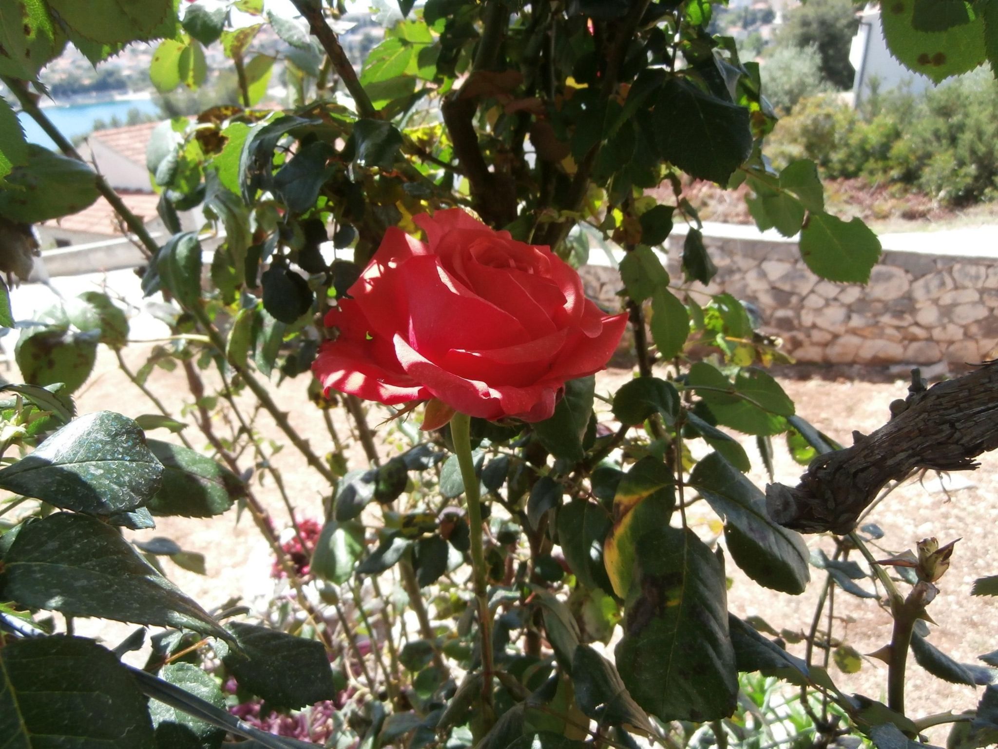 Wohnung mit Balkon und Meerblick-Drinnen