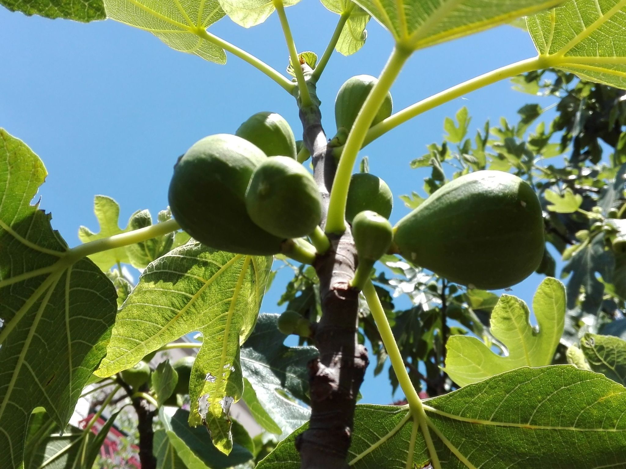 Wohnung mit Balkon und Meerblick-Drinnen