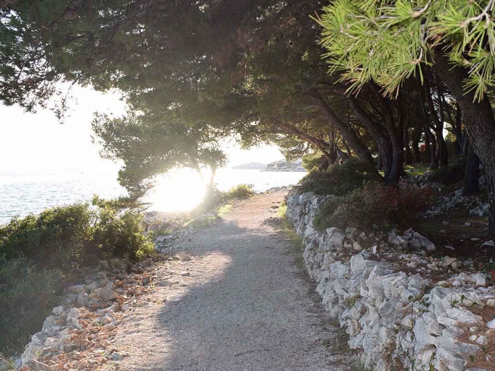 Studio für 2 Personen in Okrug Gornji, Dalmatien-Dehors